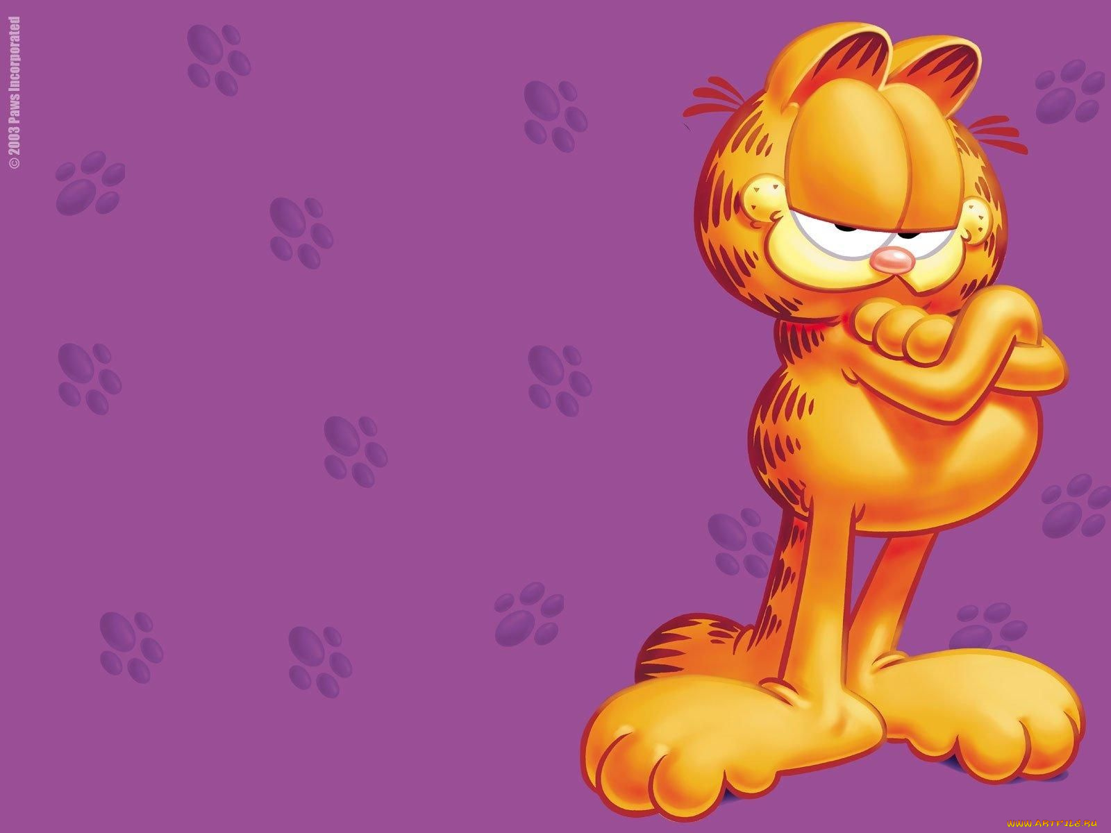 garfield, мультфильмы