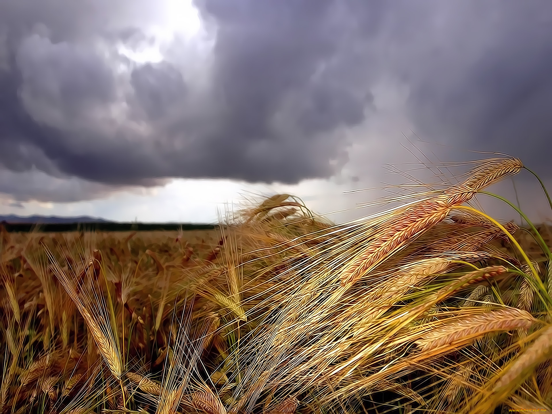 разное, компьютерный, дизайн