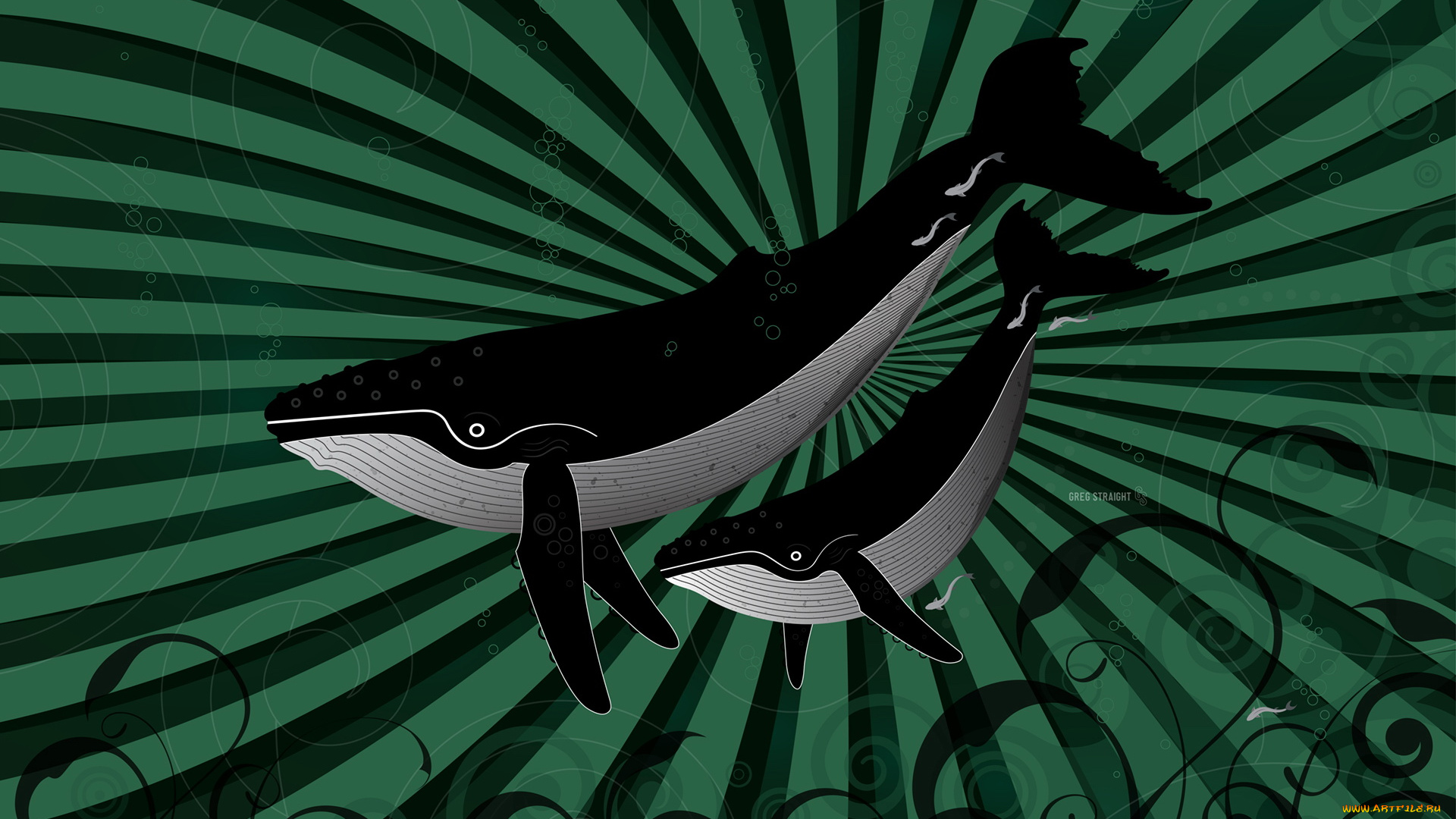 векторная, графика, дельфины