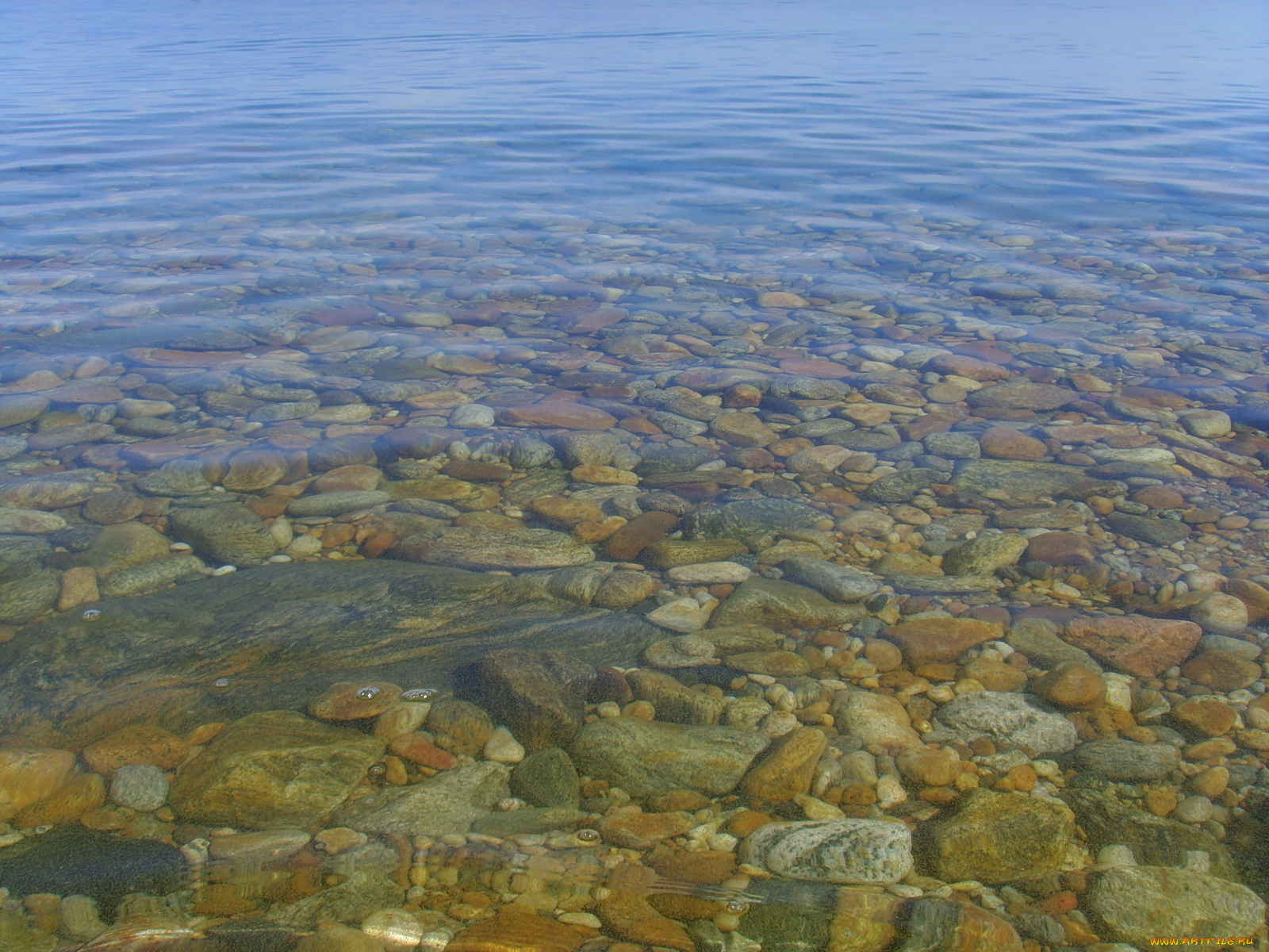 природа, реки, озера