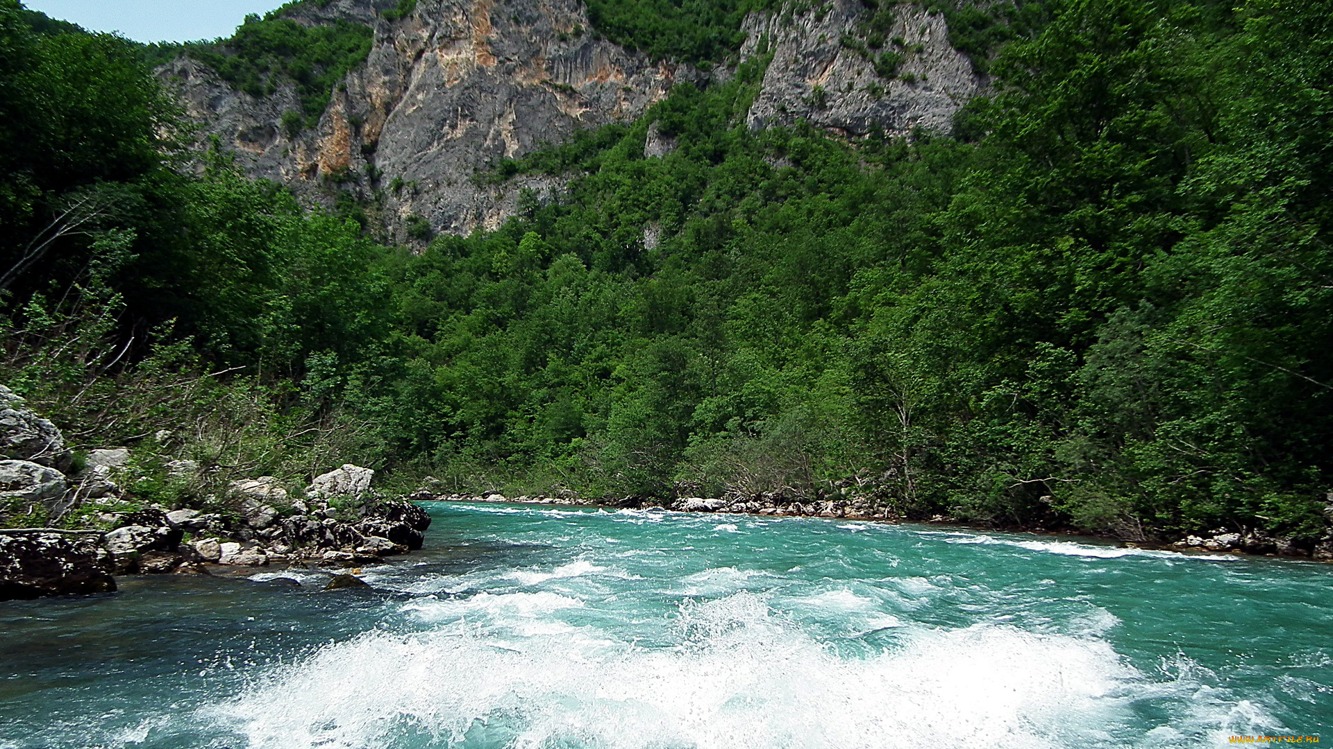 босния, герцеговина, река, тара, природа, реки, озера, поток, лес