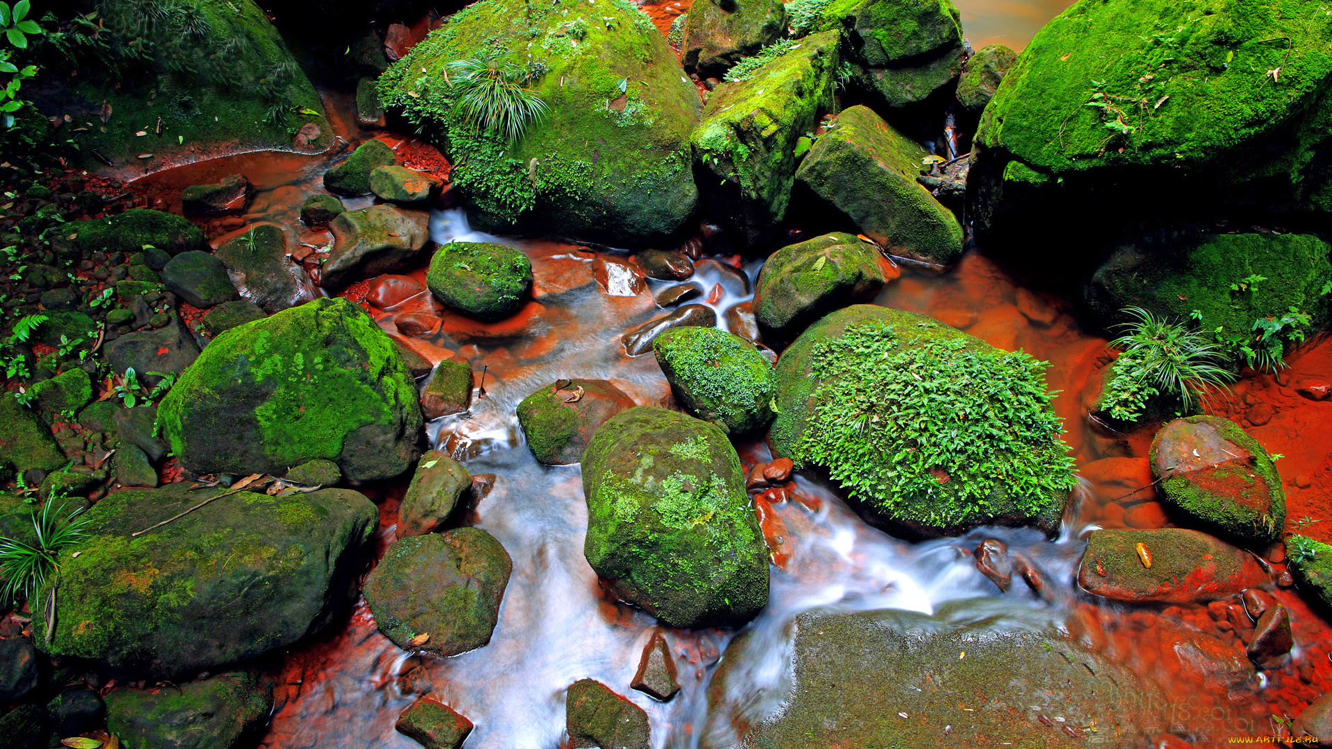 природа, камни, минералы, мох, ручей