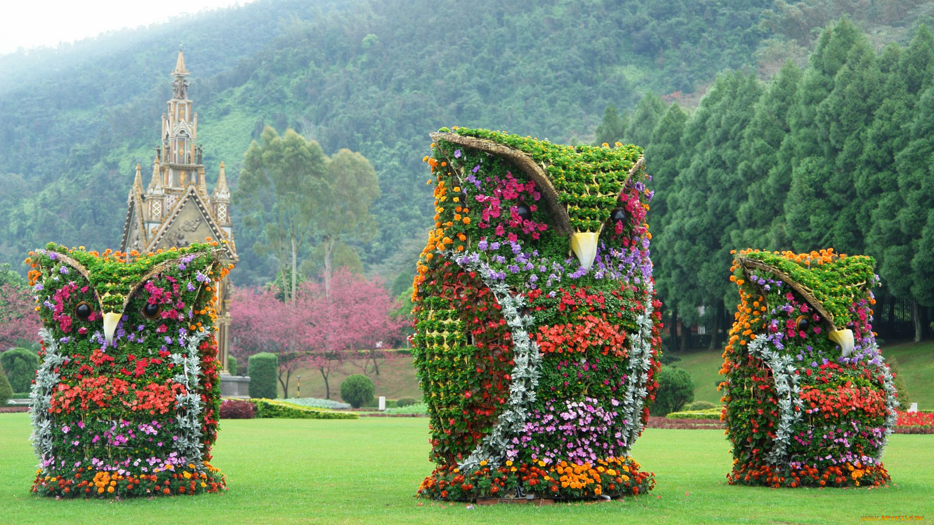 природа, парк, пингвины, лес, горы