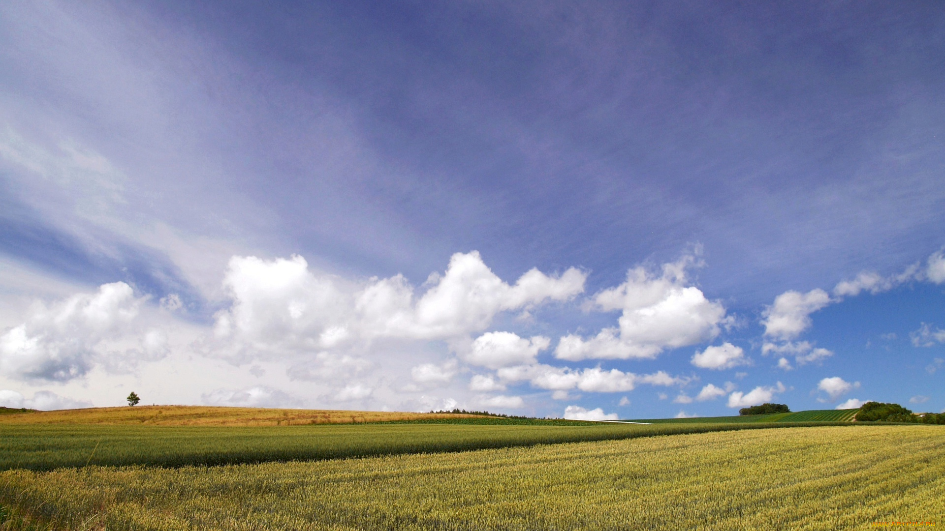 природа, поля, облака, поле