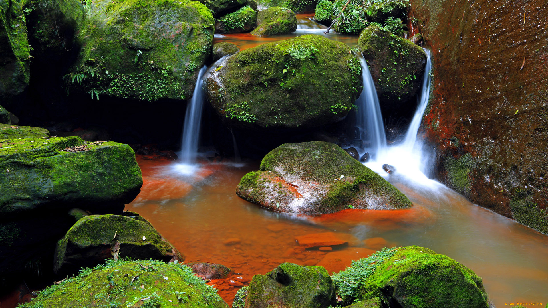 природа, реки, озера, ручей, камни, мох