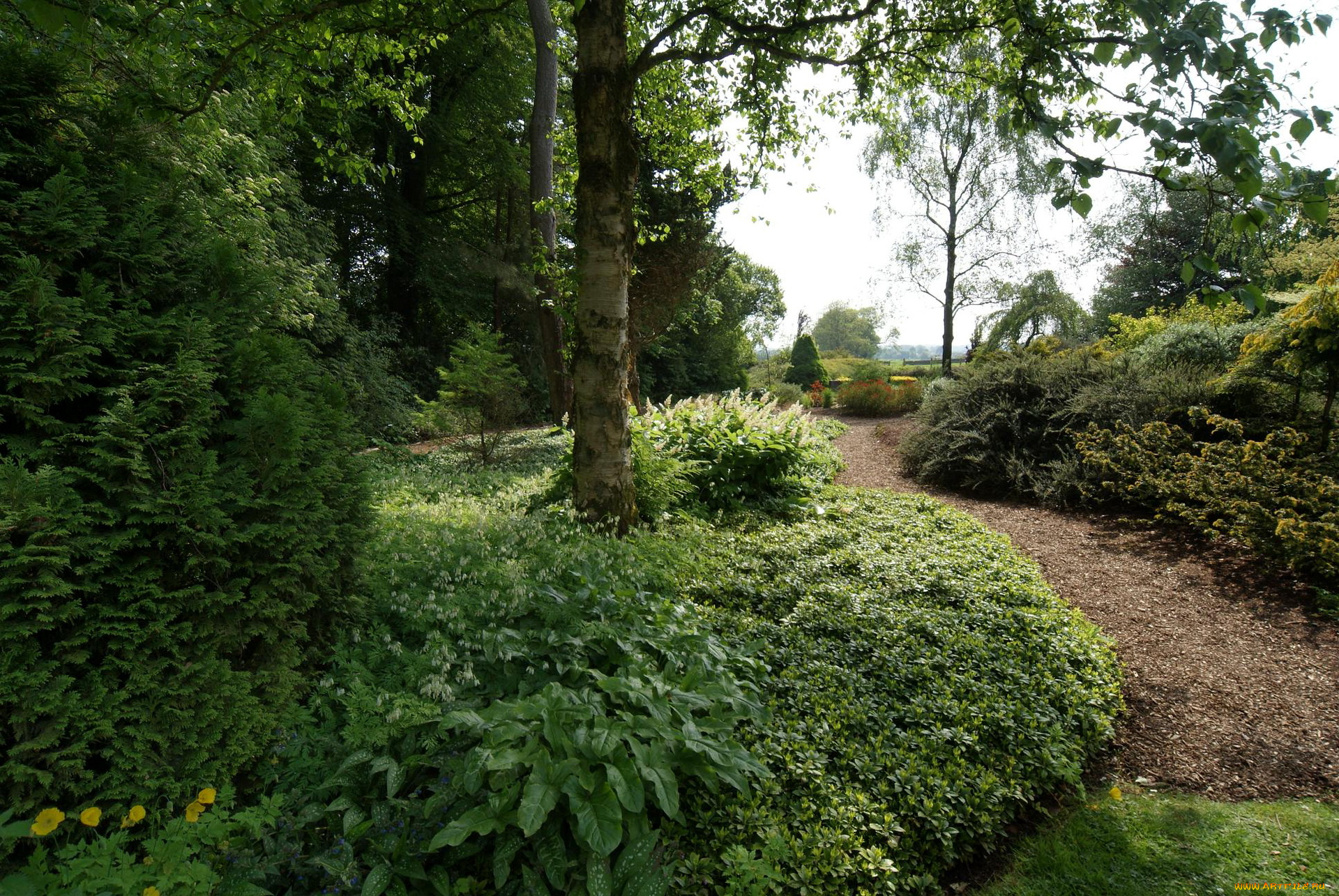 шотландия, дамфрис, галлоуэй, природа, парк