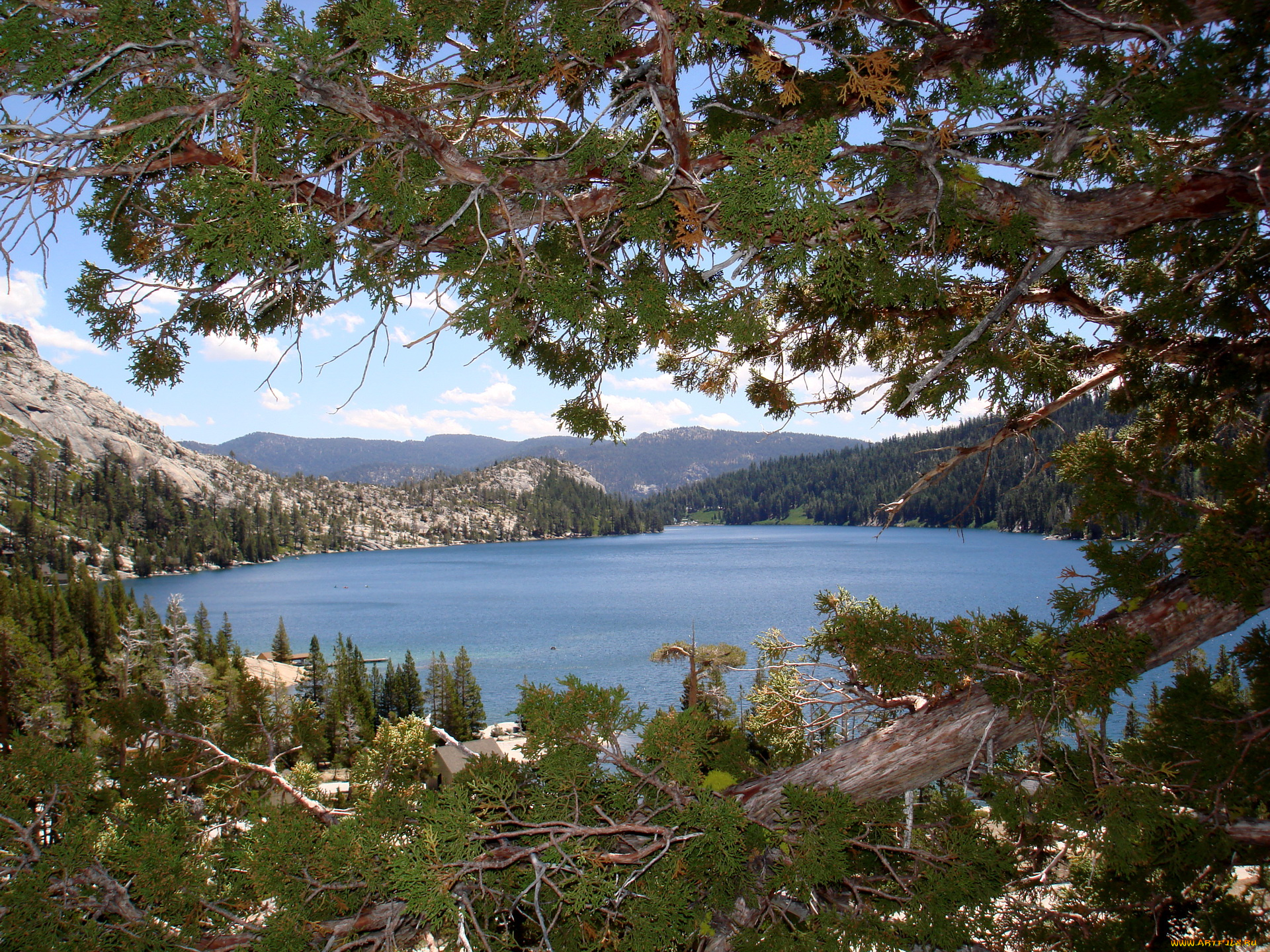 еcho, lake, conway, usa, природа, реки, озера