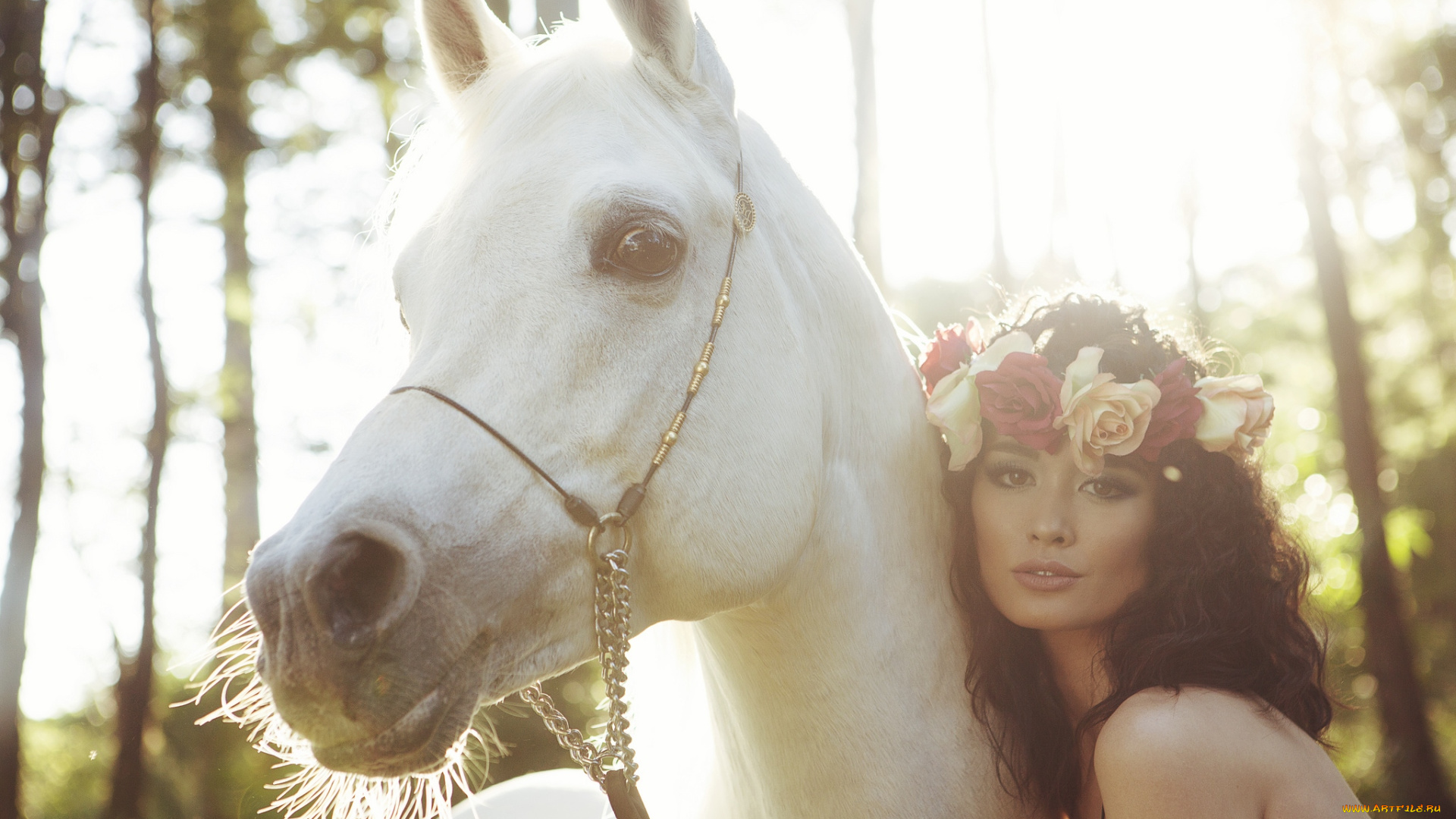 -Unsort, Брюнетки, Шатенки, девушки, unsort, брюнетки, шатенки, венок, лошадь