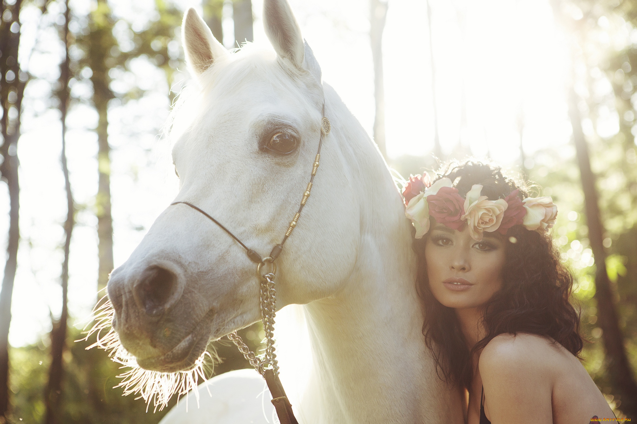 -Unsort, Брюнетки, Шатенки, девушки, unsort, брюнетки, шатенки, венок, лошадь