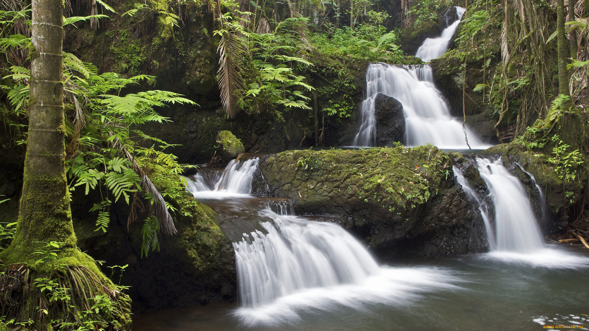 природа, водопады, каскад, гавайи, поток, водопад, река, деревья, лес