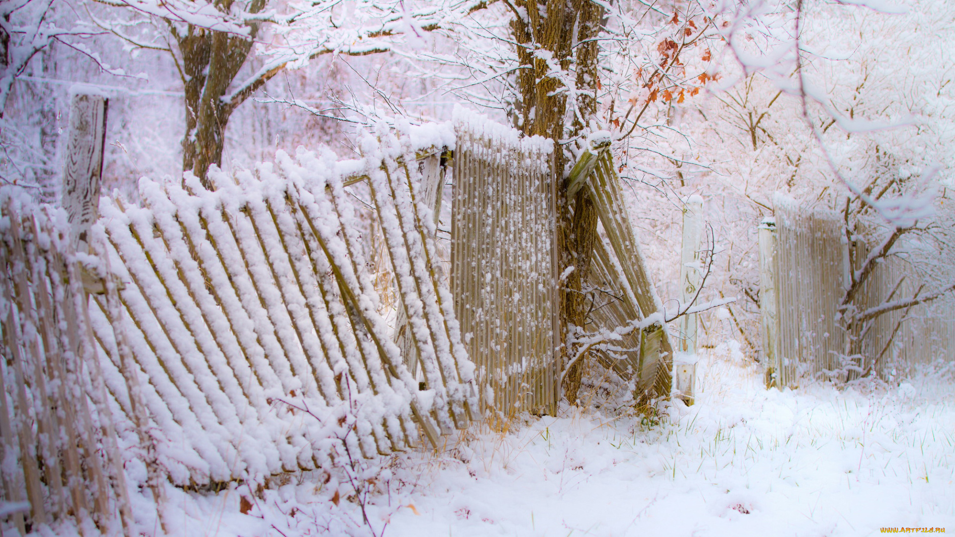 природа, зима, деревья, забор, снегопад, снег