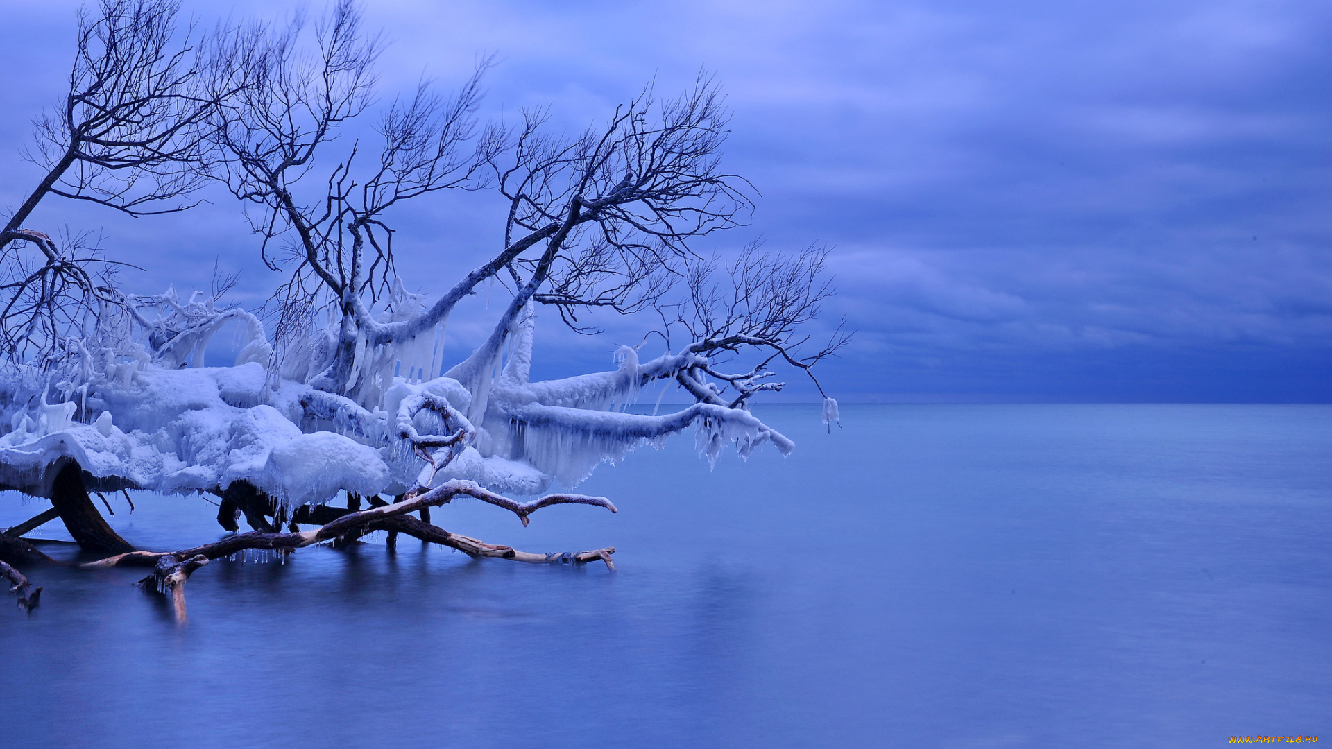 природа, зима, лед, упавшее, дерево, озеро, онтарио, уитби, канада, сосульки