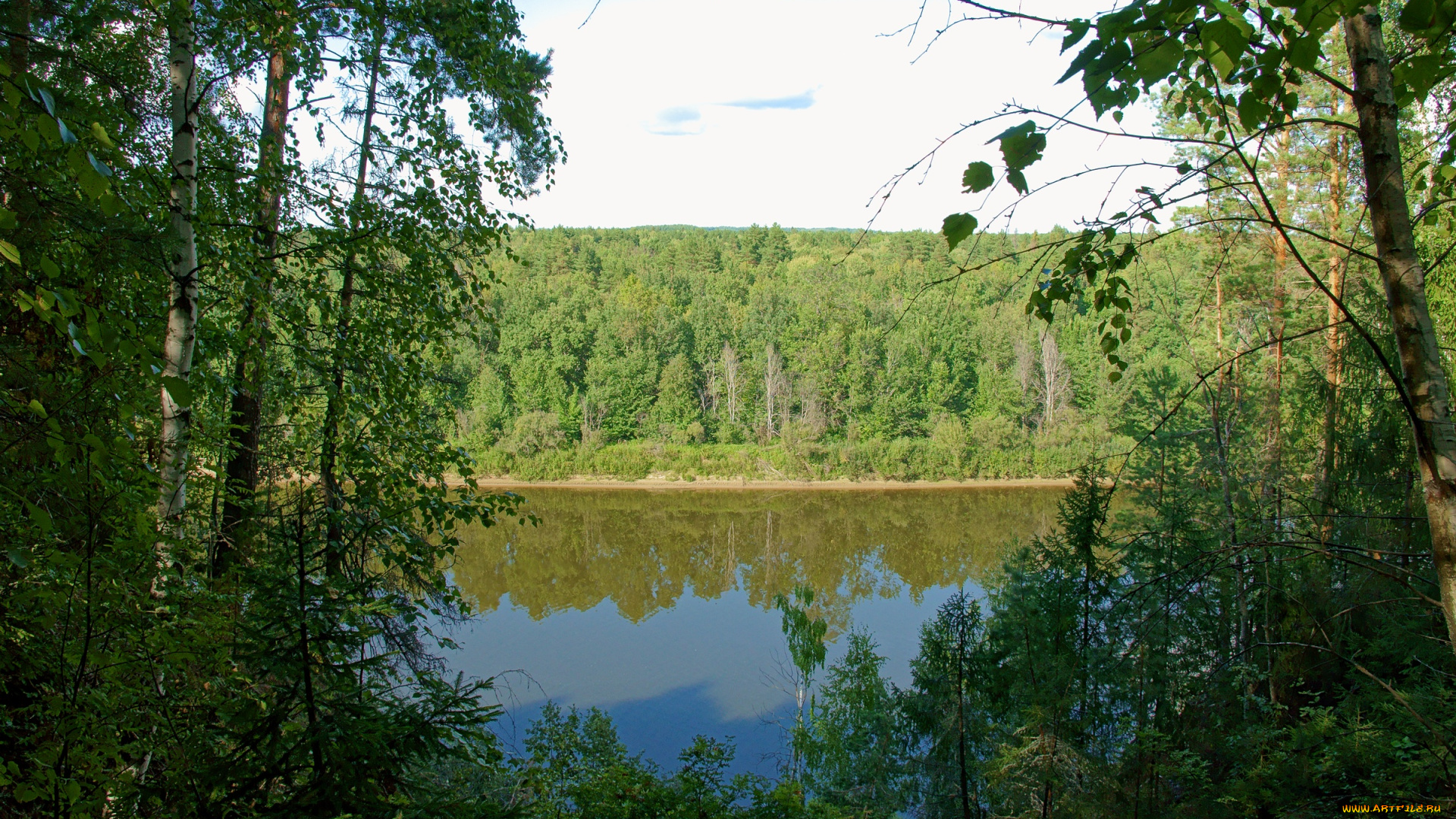 ветлуга, природа, реки, озера, река, лес