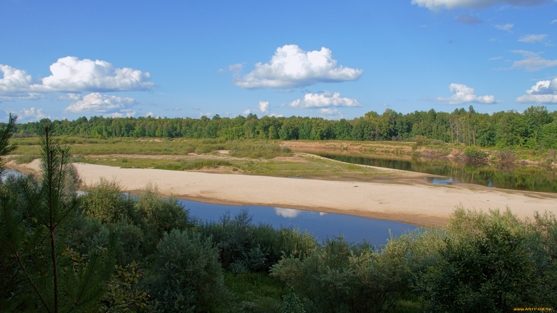 ветлуга, природа, реки, озера, река, лес, пляж, облака
