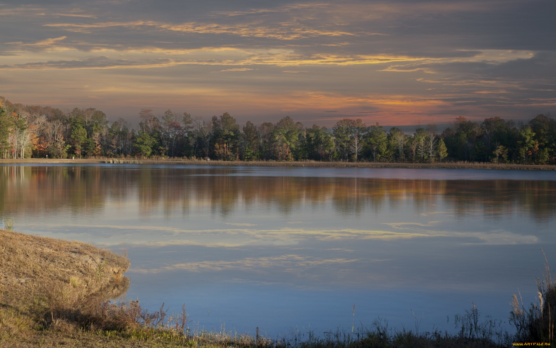природа, реки, озера, осень, вечер, озеро, лес