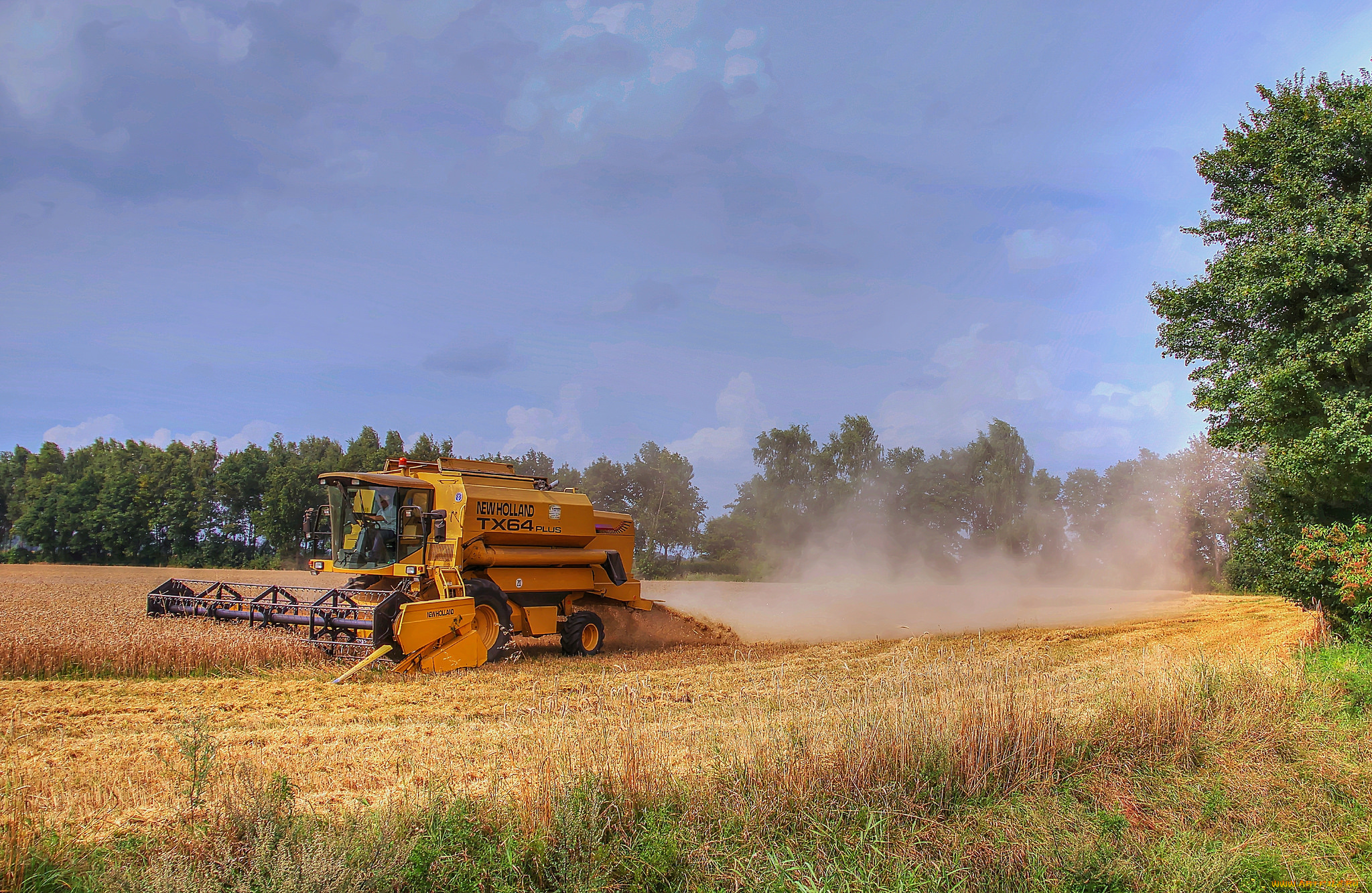 техника, комбайны, комбайн, поле