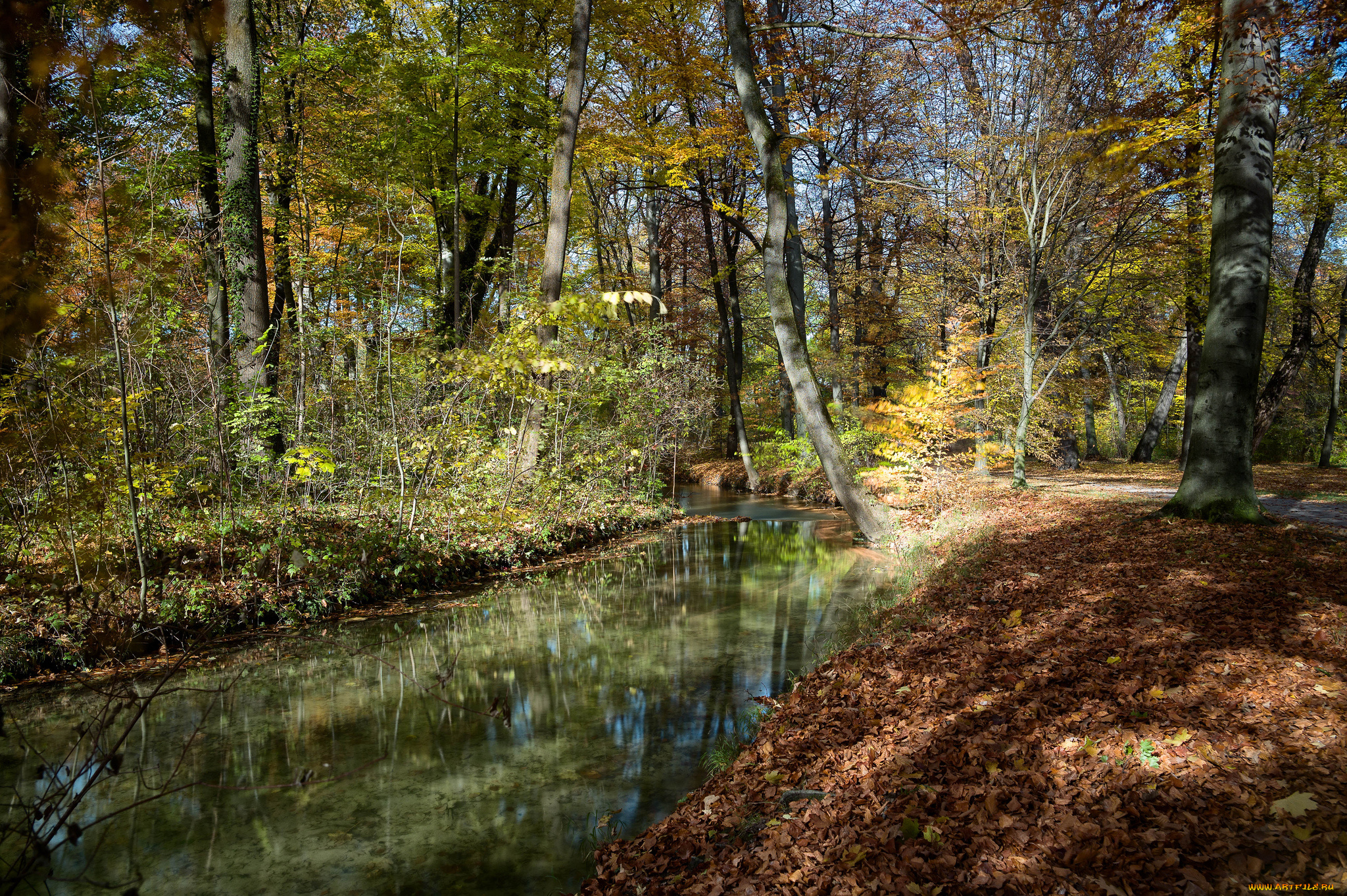 природа, реки, озера, река, лес