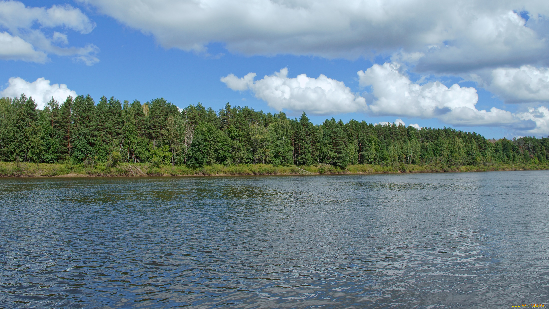ветлуга, природа, реки, озера, облака, лес, река