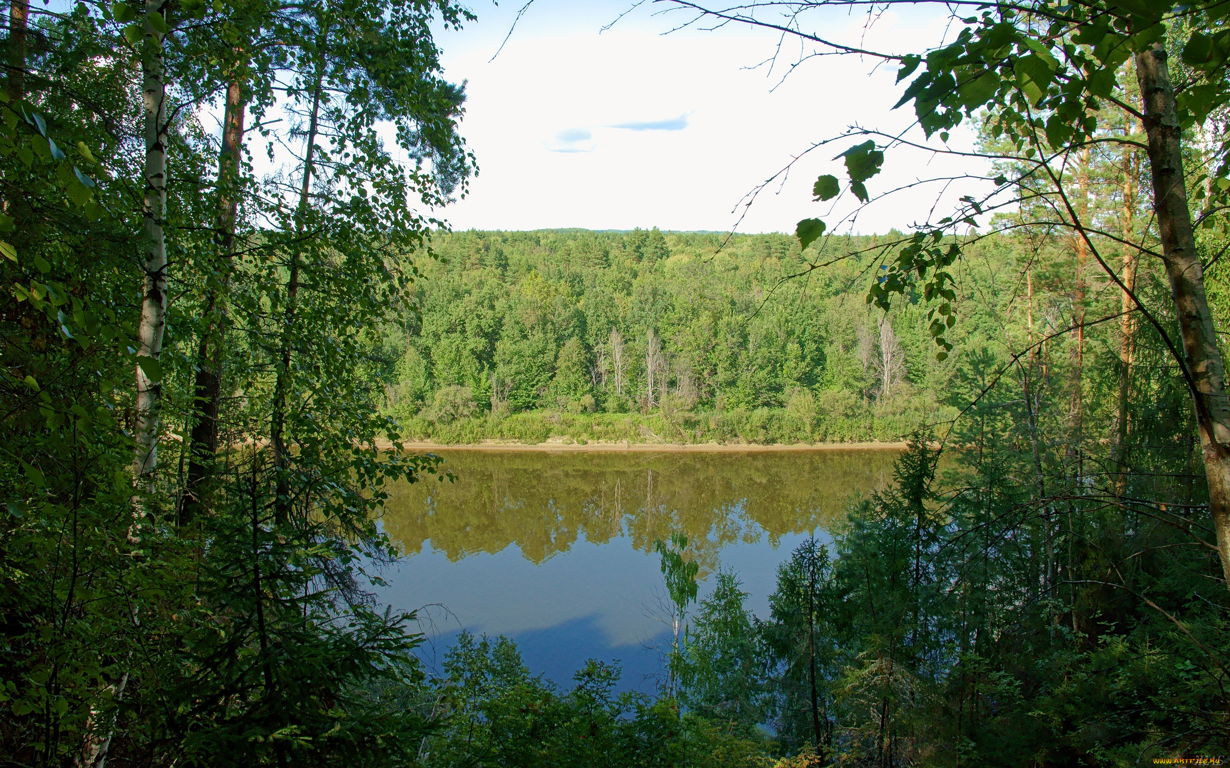 ветлуга, природа, реки, озера, река, лес