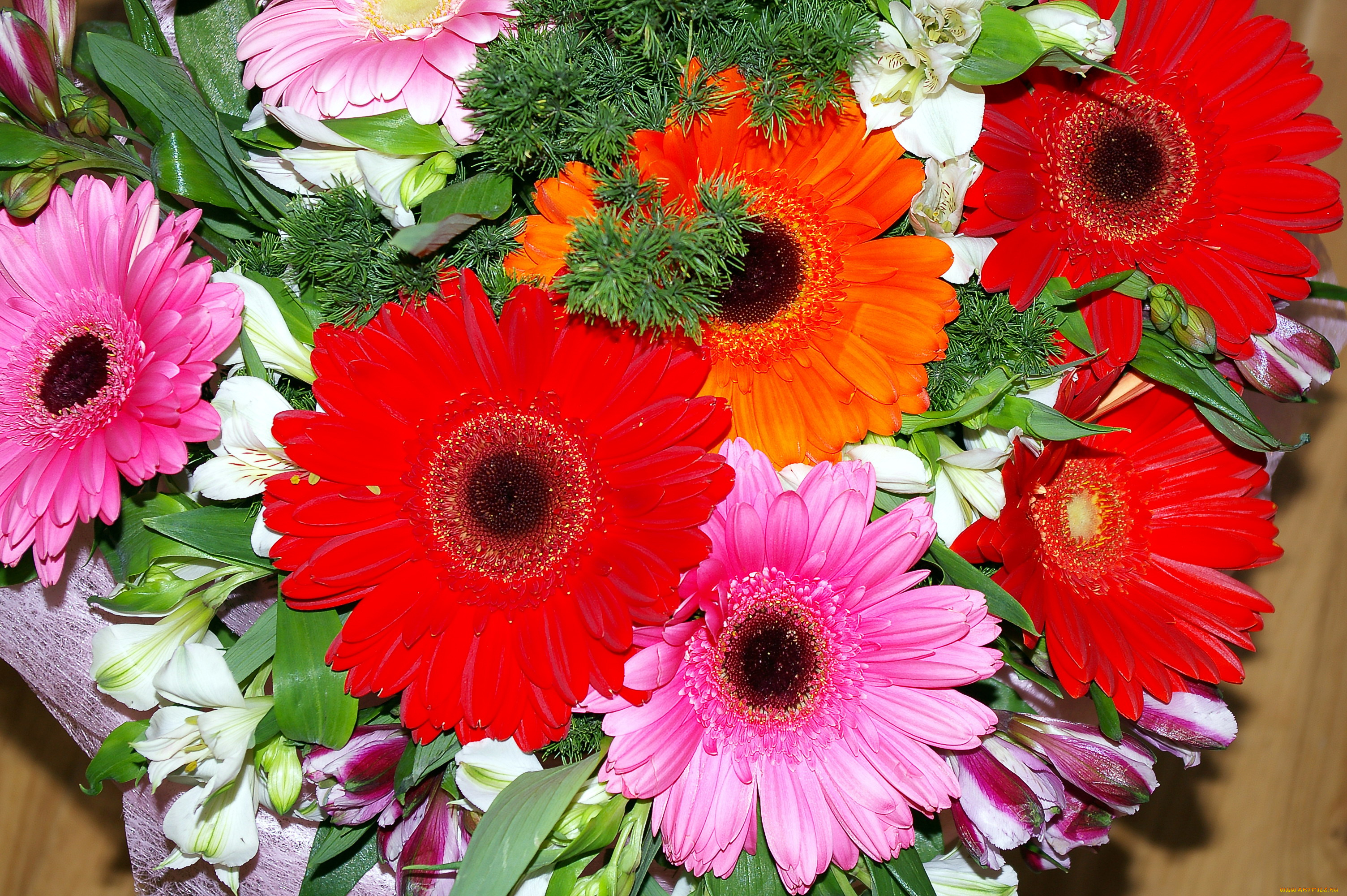 цветы, букеты, , композиции, оранжевый, красный, розовый