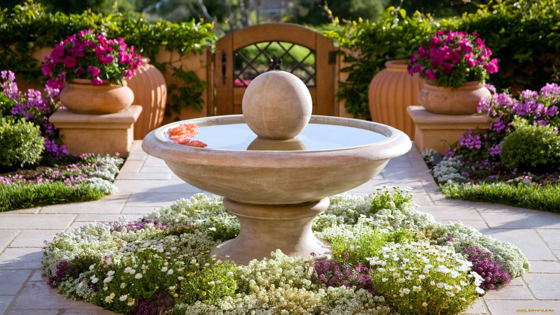 природа, парк, фонтан, клумбы