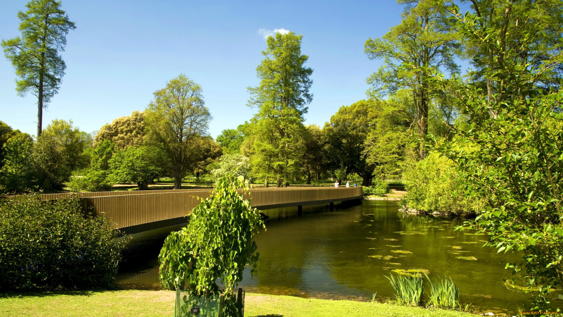 природа, парк, мост, река, лето, деревья