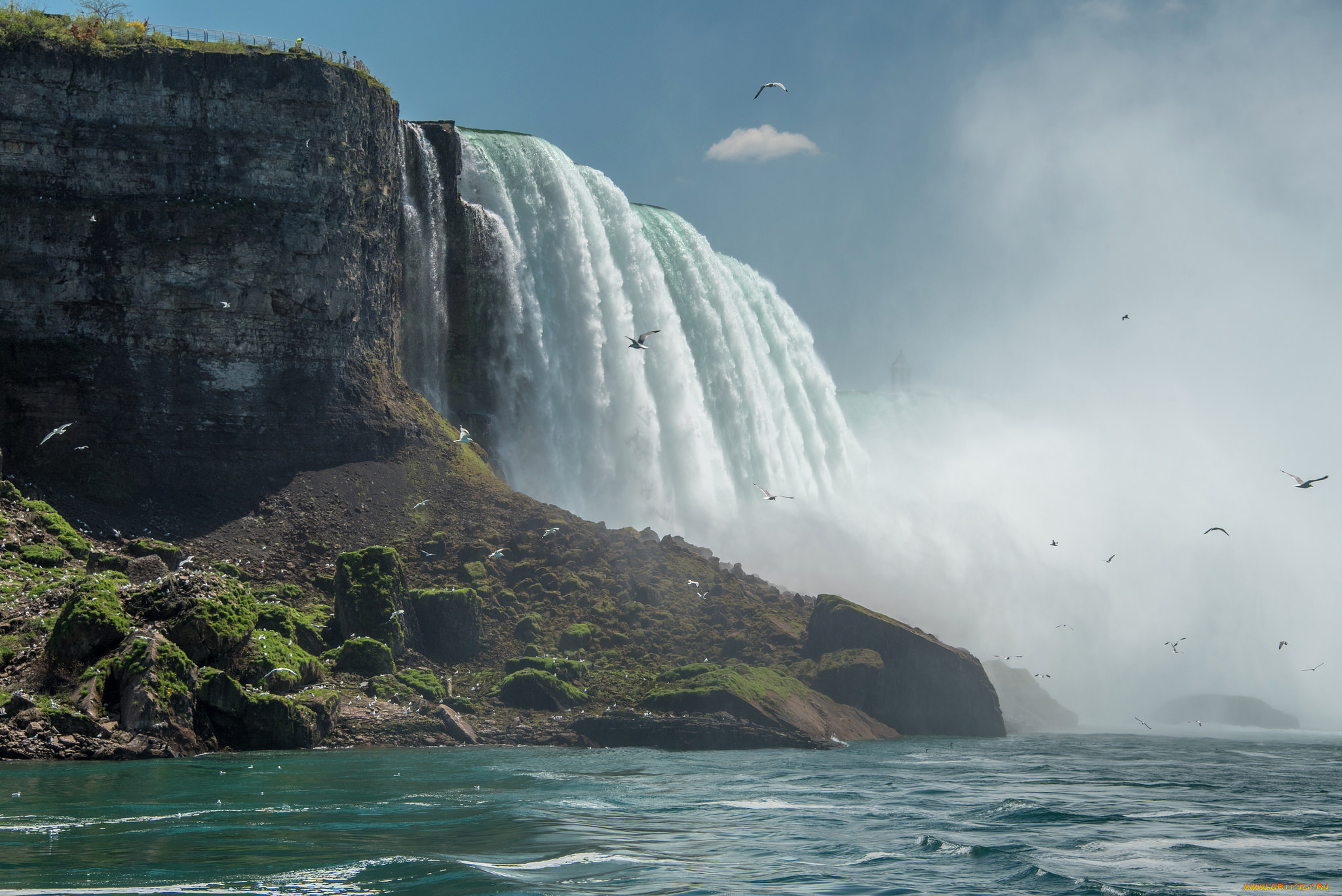 niagara, природа, водопады, лес, река, водопад