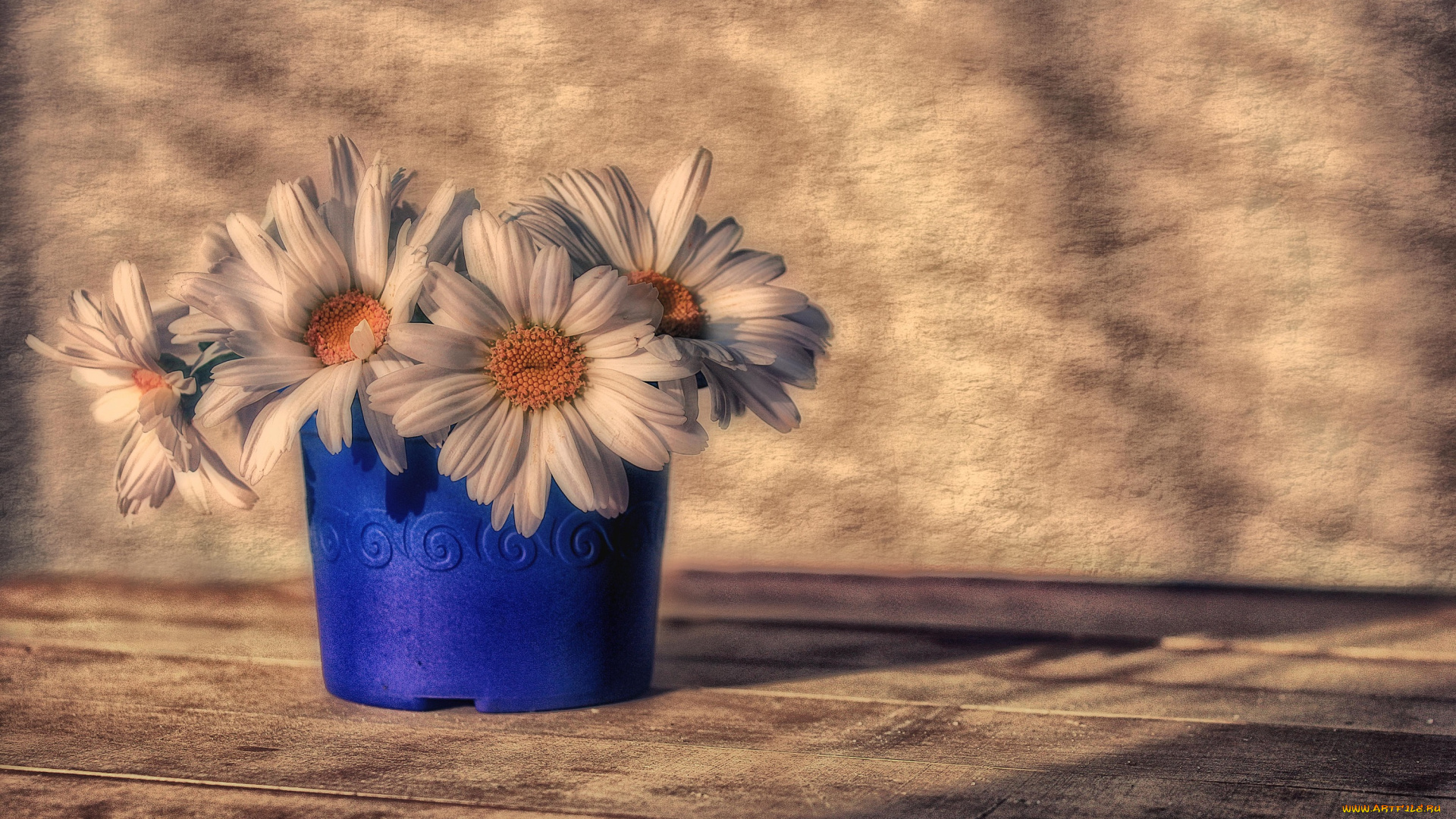 цветы, ромашки, букет, открытка, лето, композиция, июль