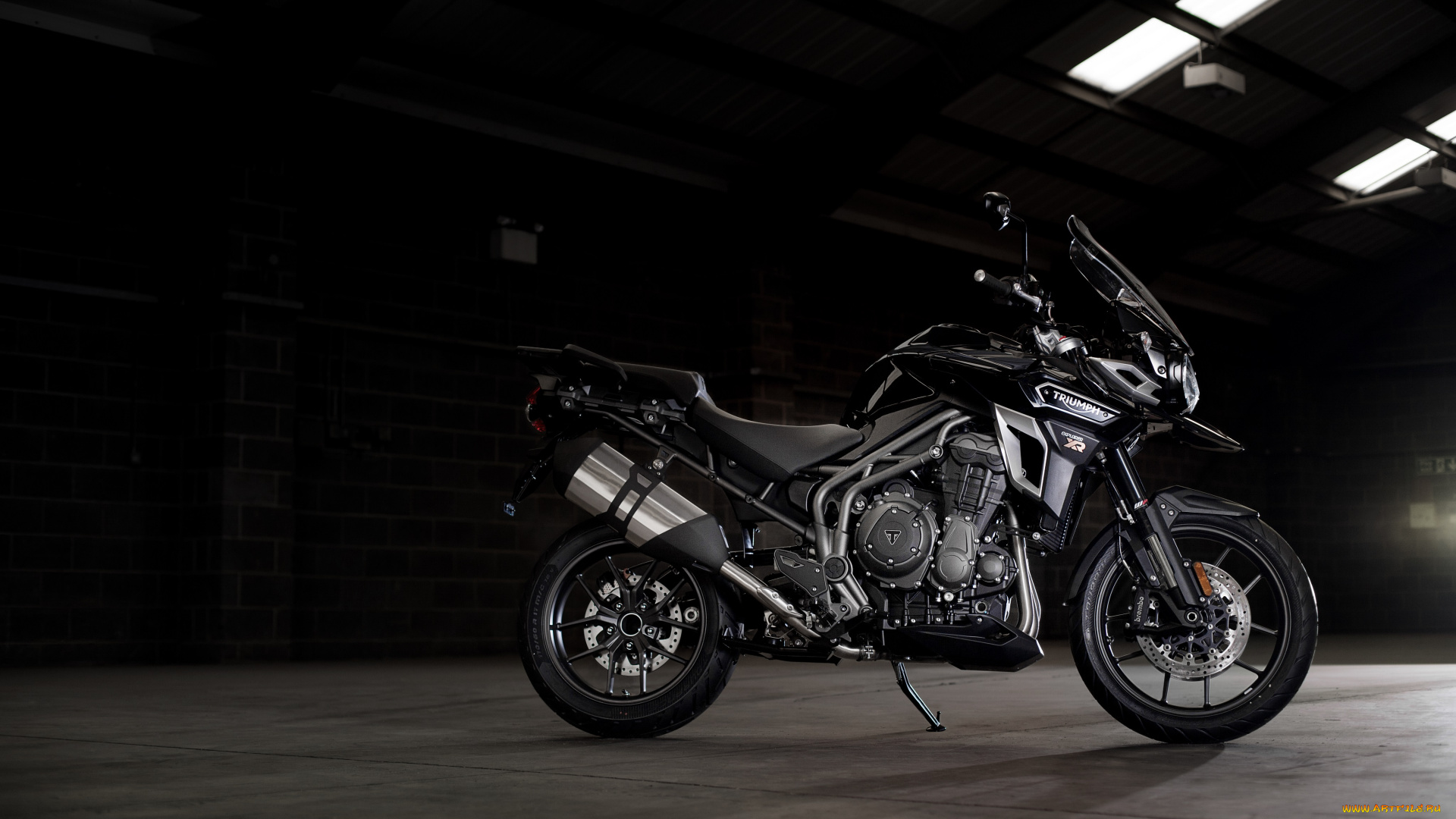 мотоциклы, triumph