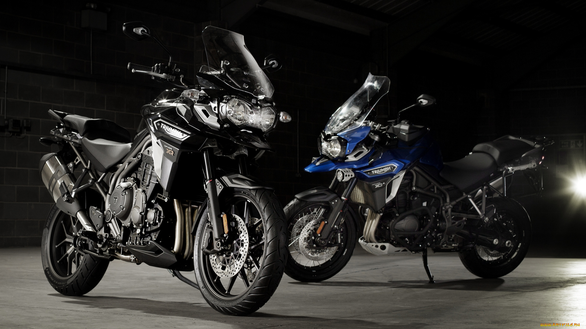 мотоциклы, triumph