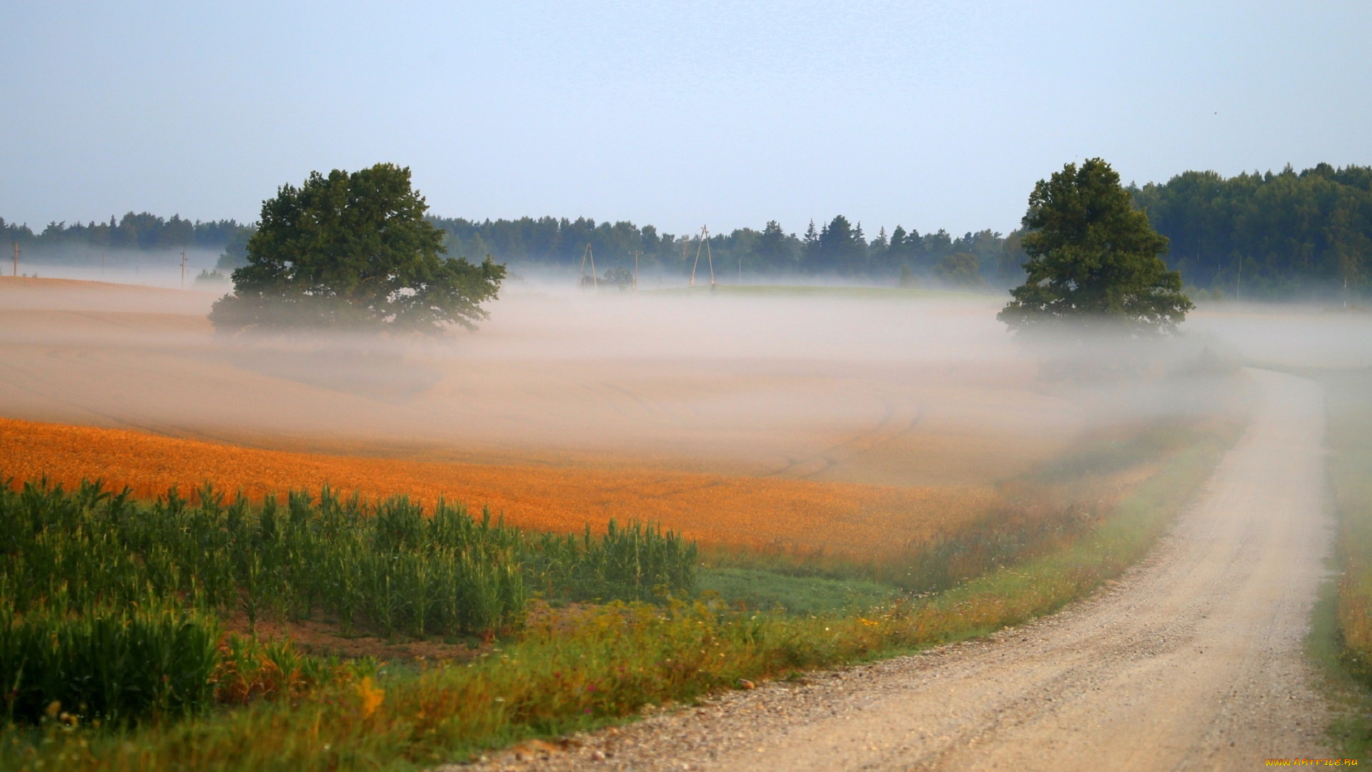 природа, дороги, осень, dzintra, zvagina, туман, дорога