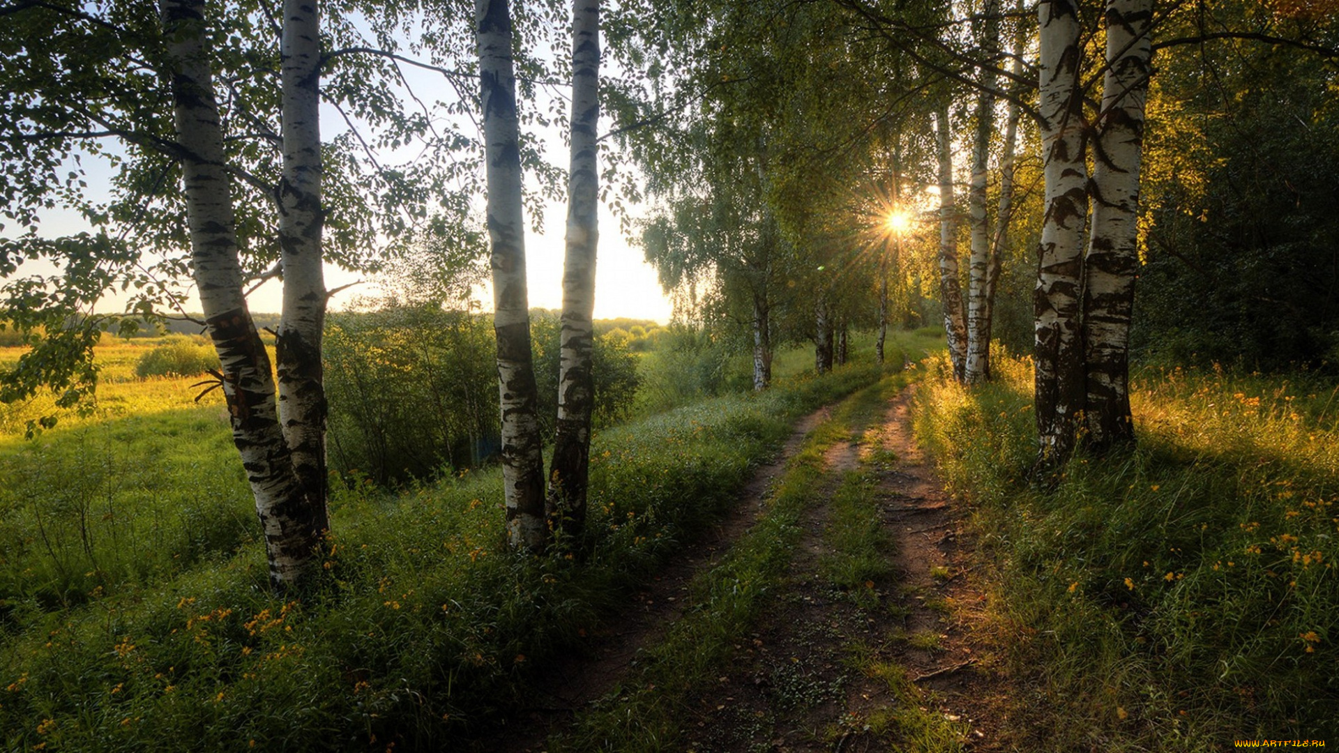 природа, дороги, рассвет