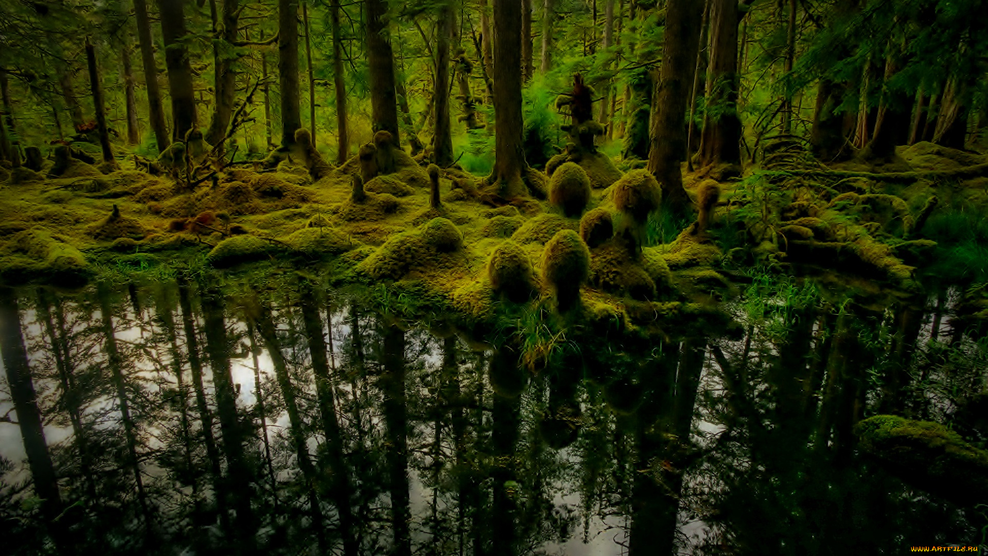 природа, лес