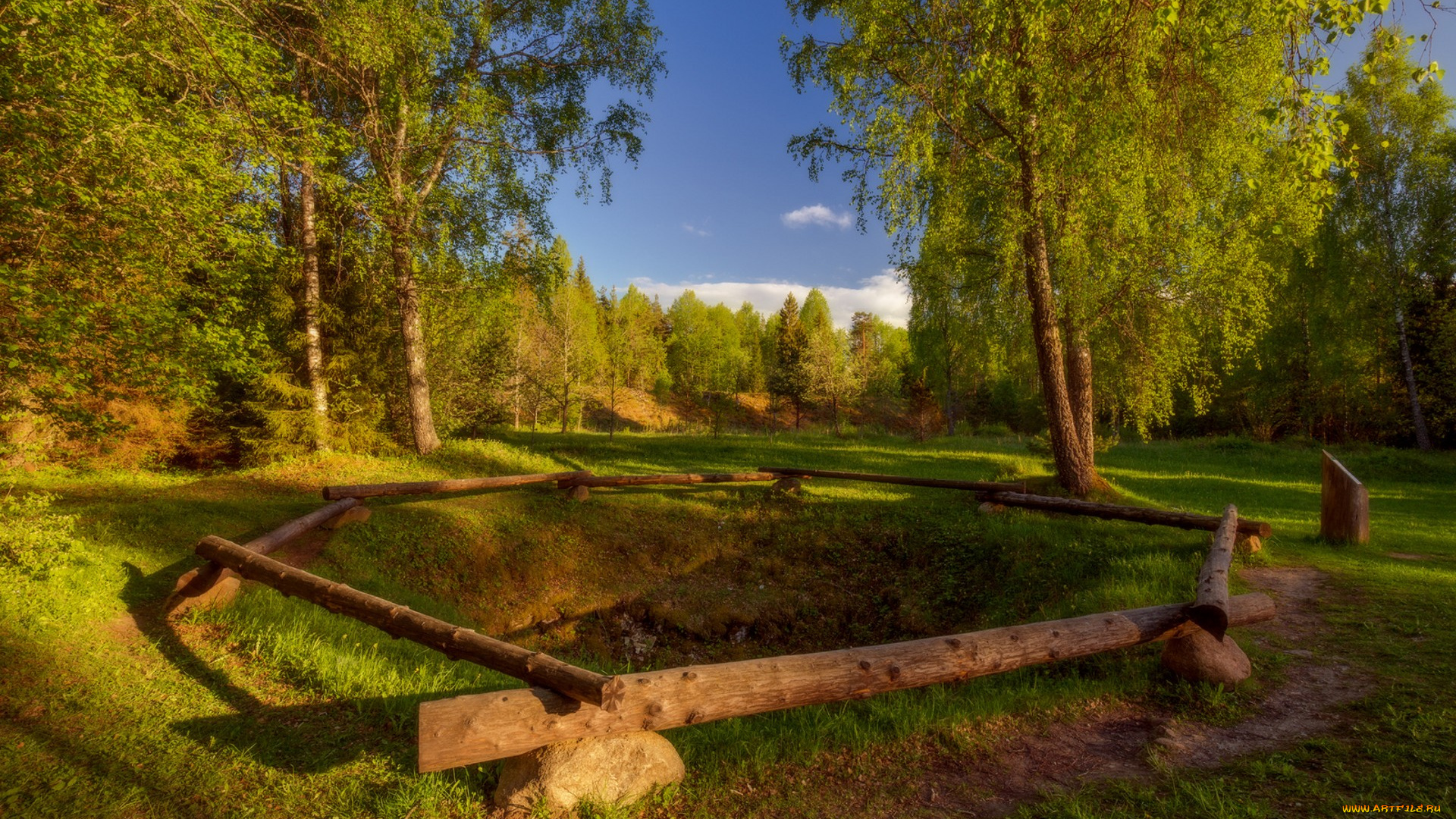 природа, лес, простор