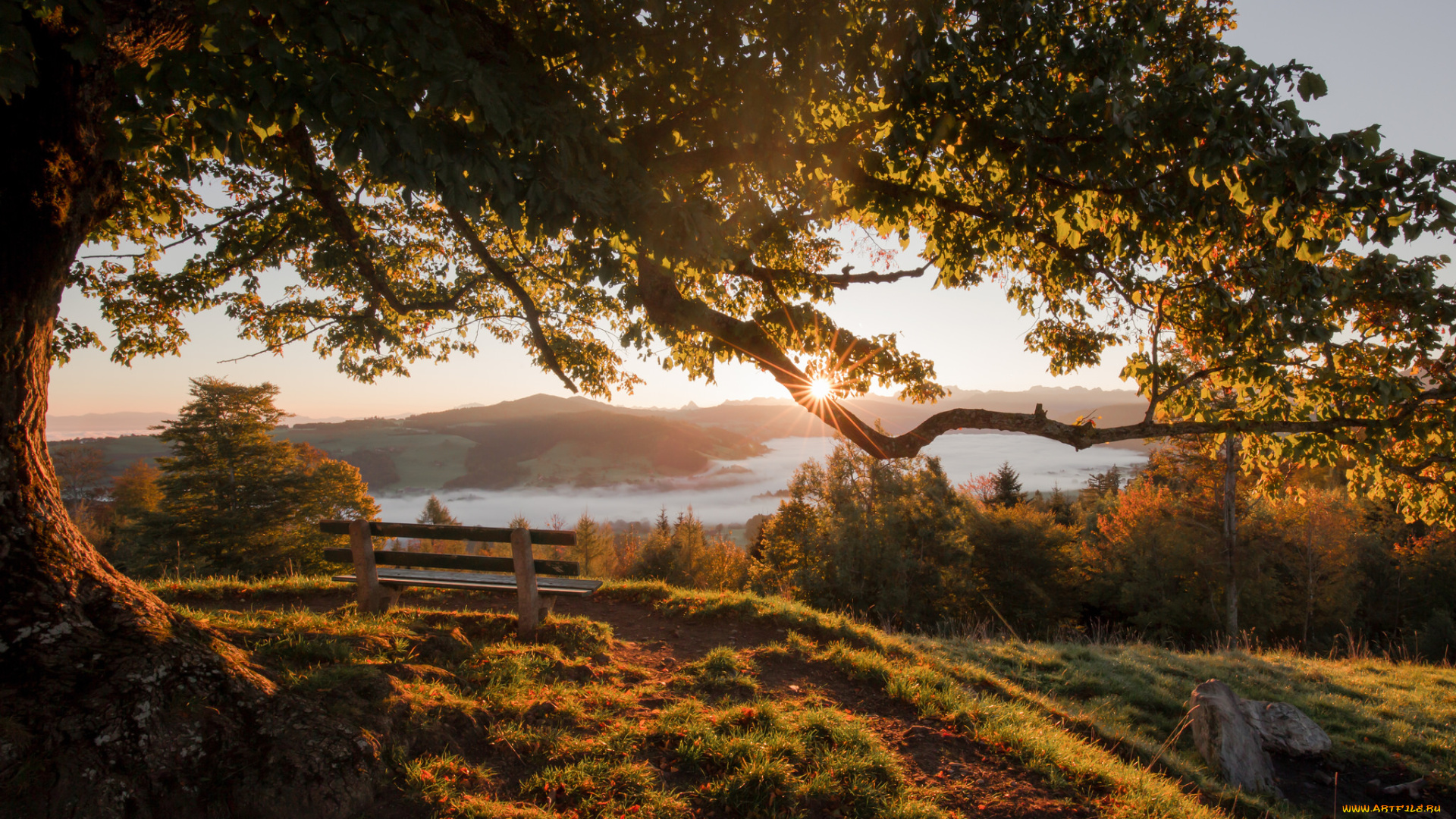 природа, пейзажи, простор