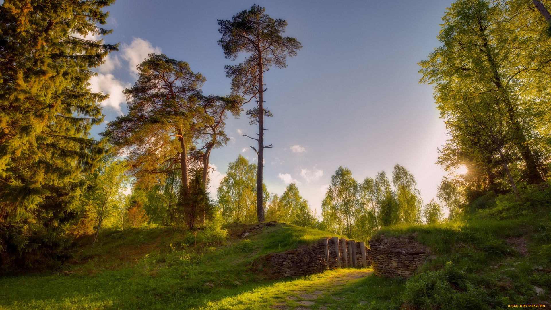 природа, пейзажи, простор