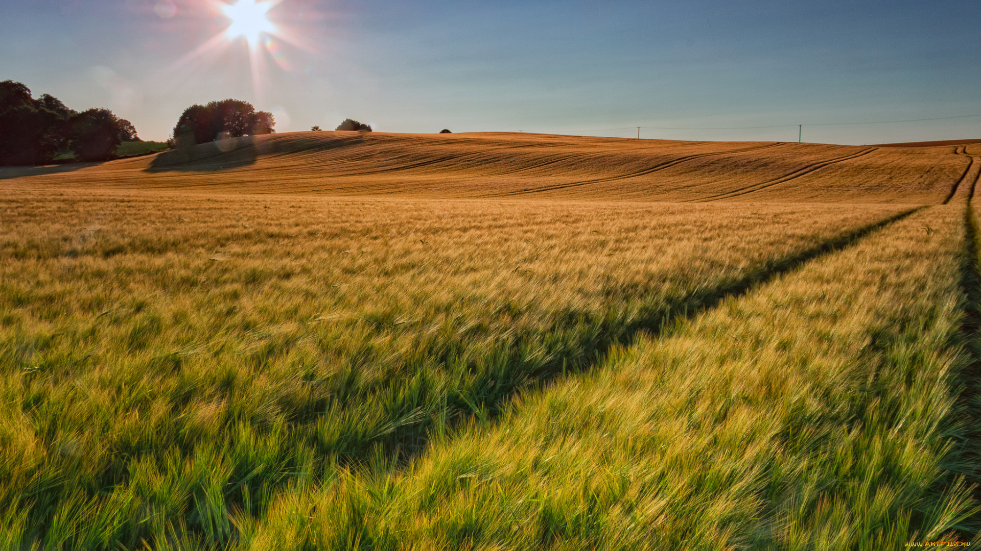 природа, поля, простор