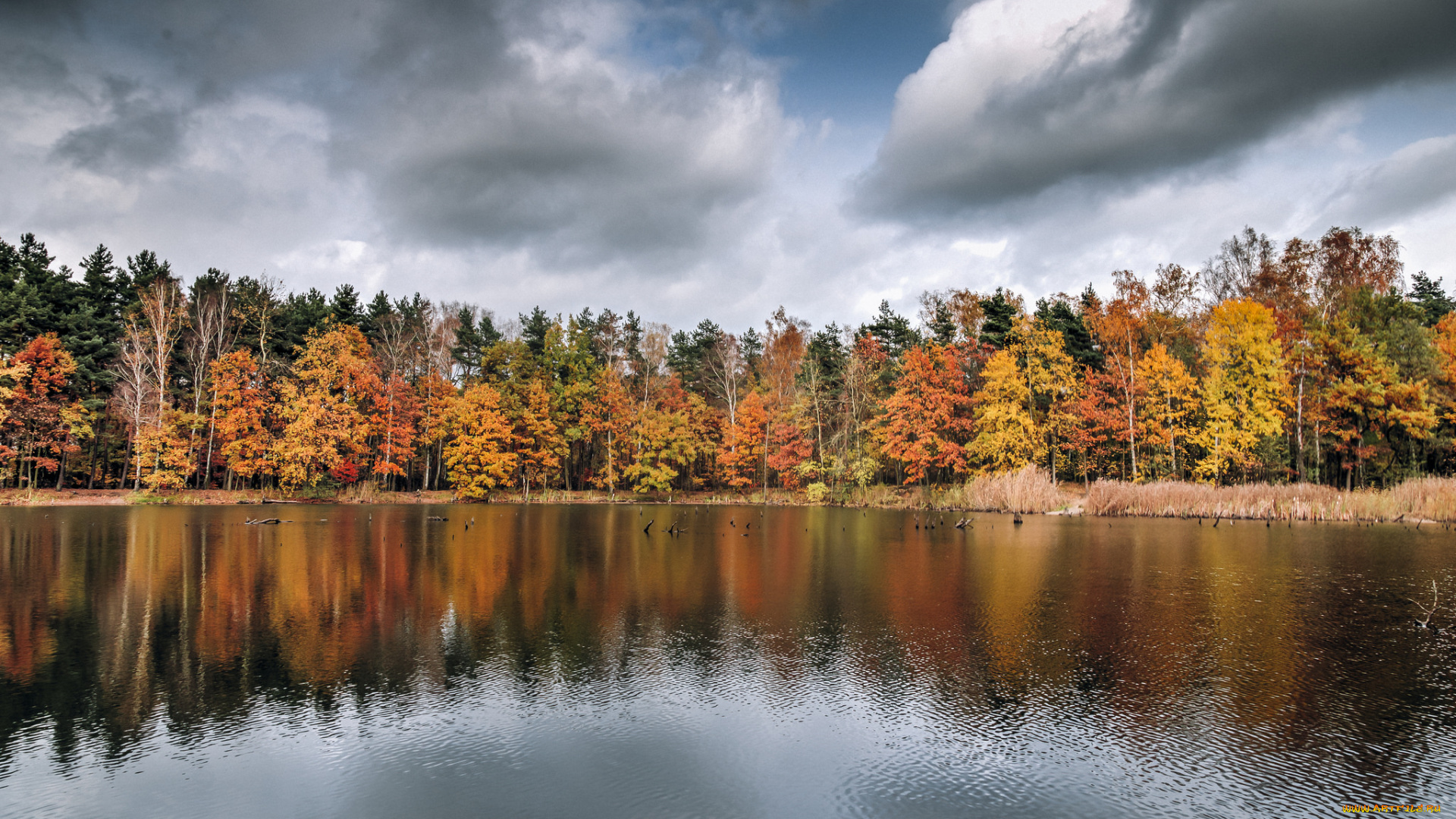 природа, реки, озера, осень