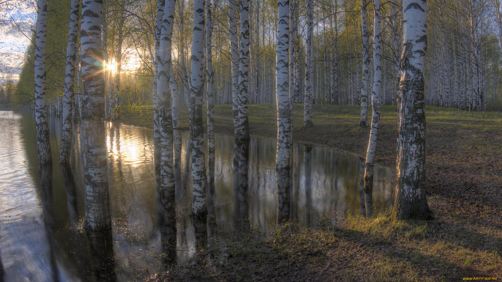 природа, реки, озера, простор