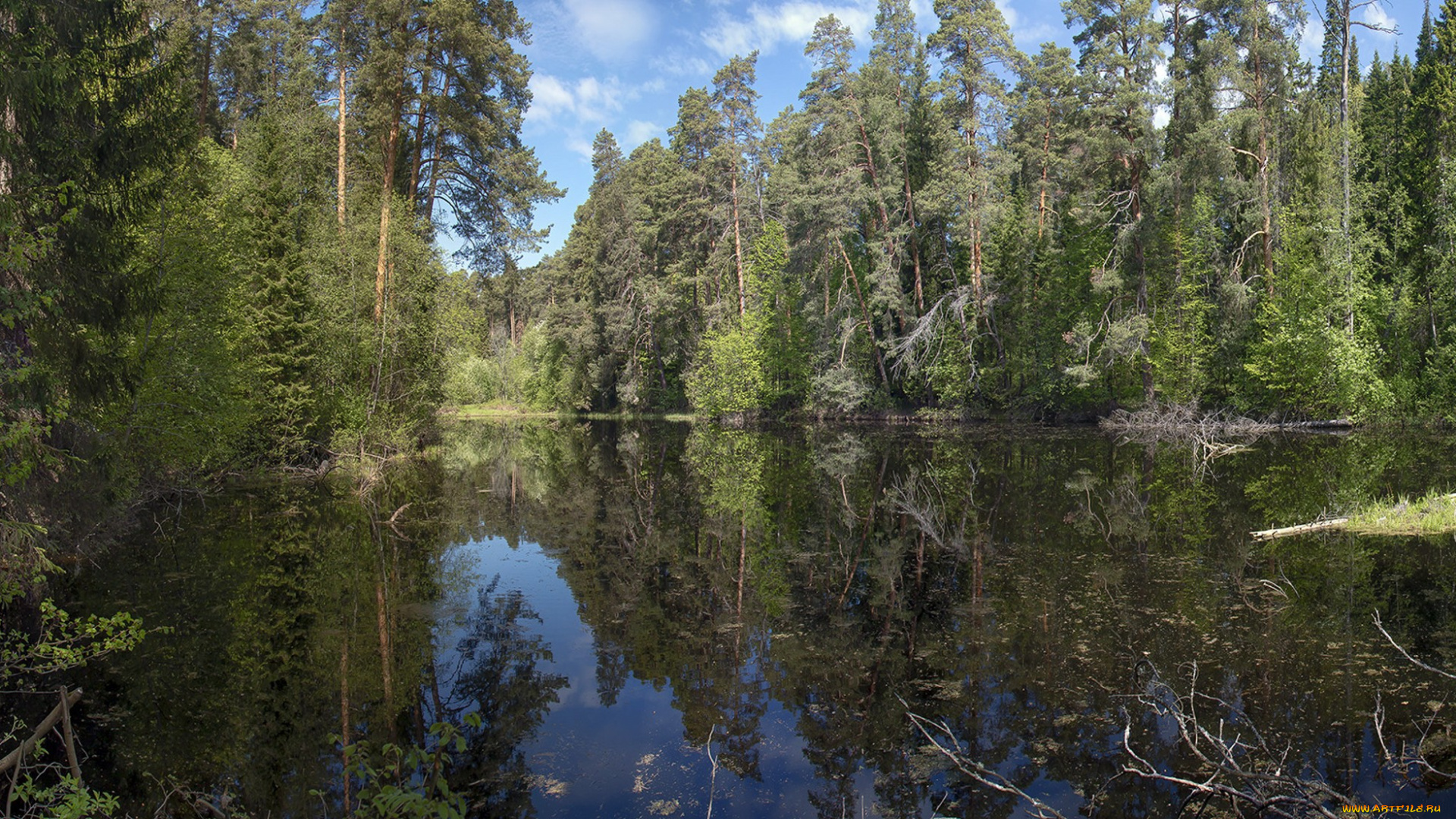 природа, реки, озера, простор