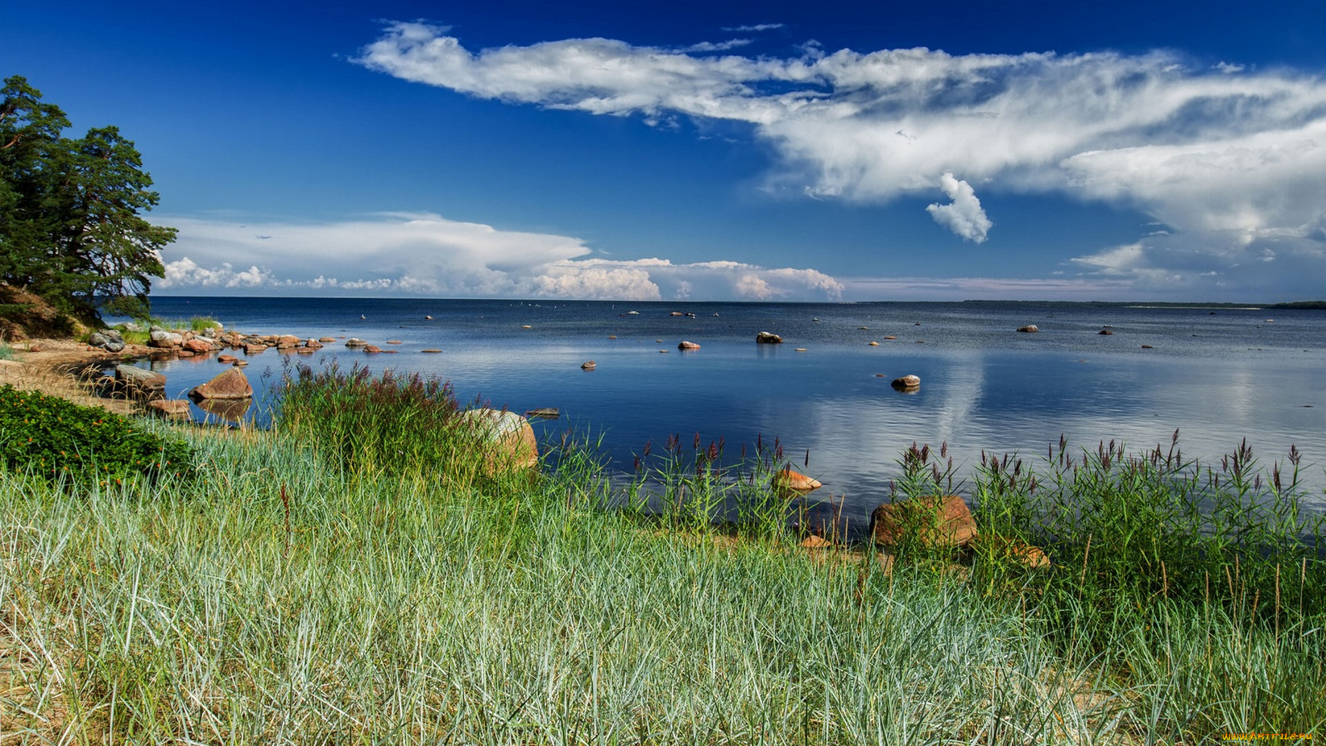 природа, реки, озера, простор