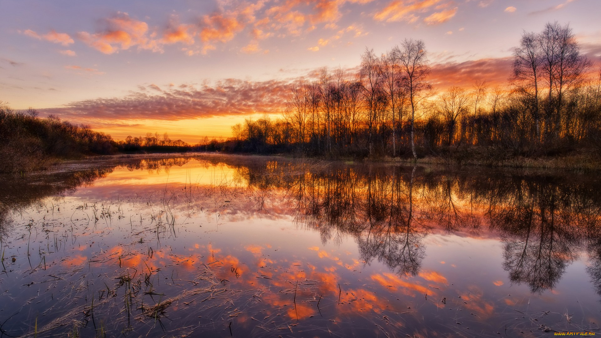 природа, реки, озера, простор