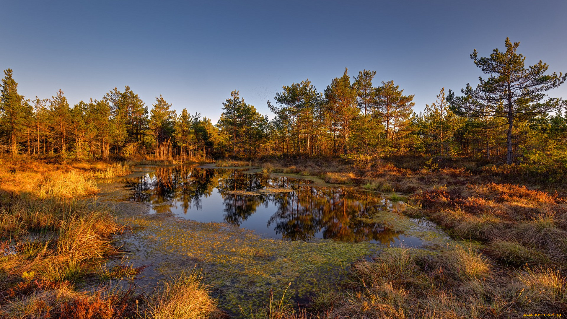 природа, реки, озера, простор