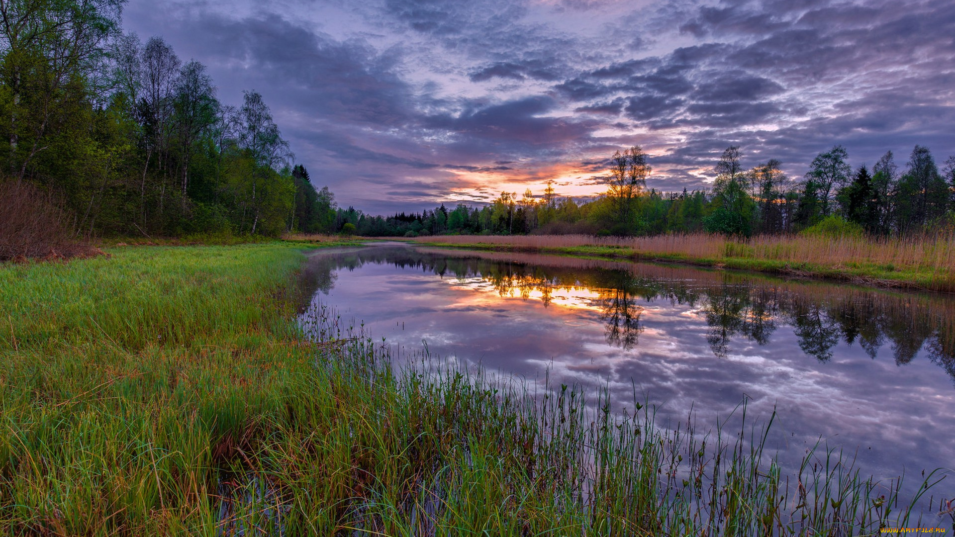 природа, реки, озера, простор