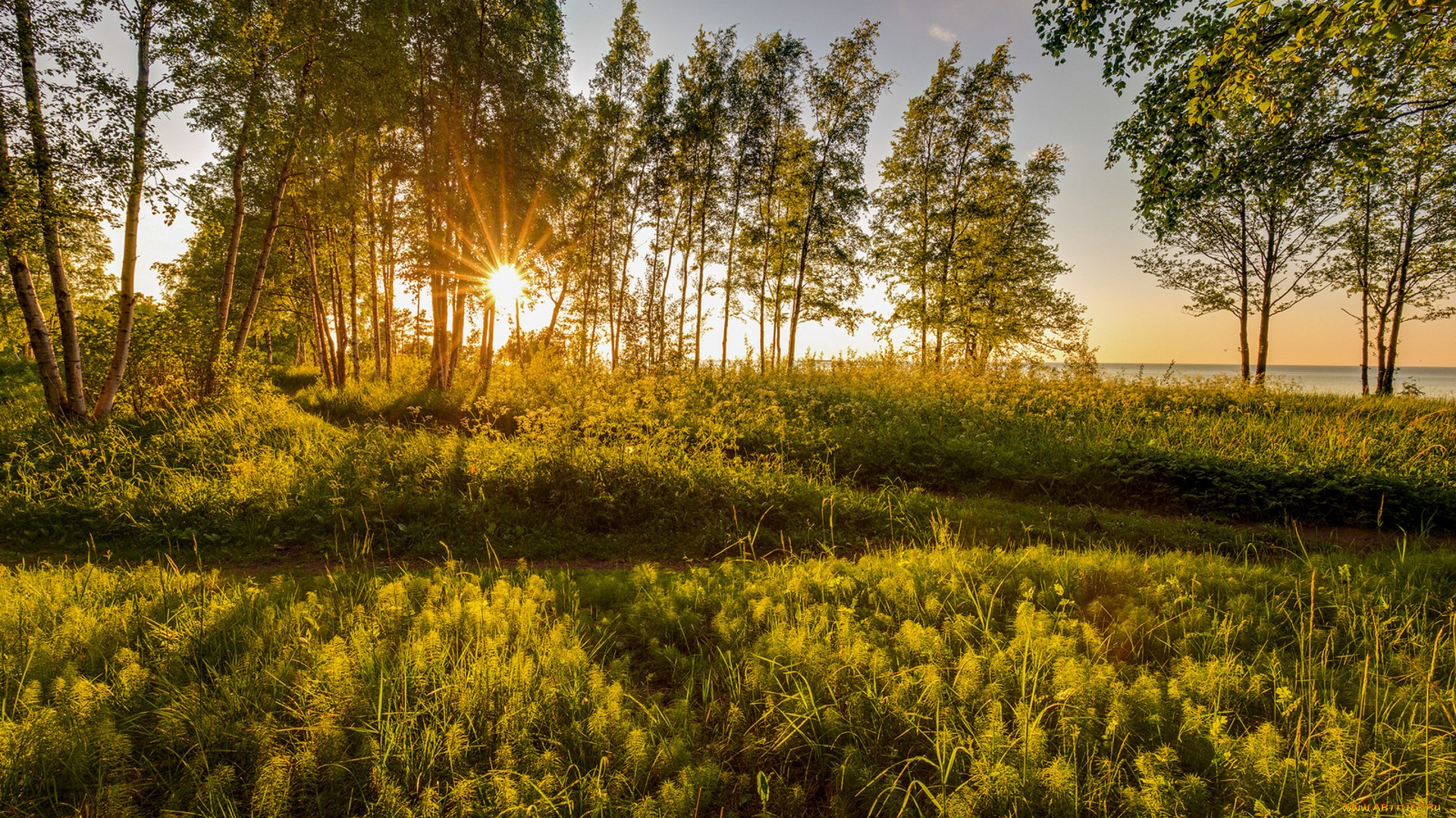 природа, восходы, закаты, простор