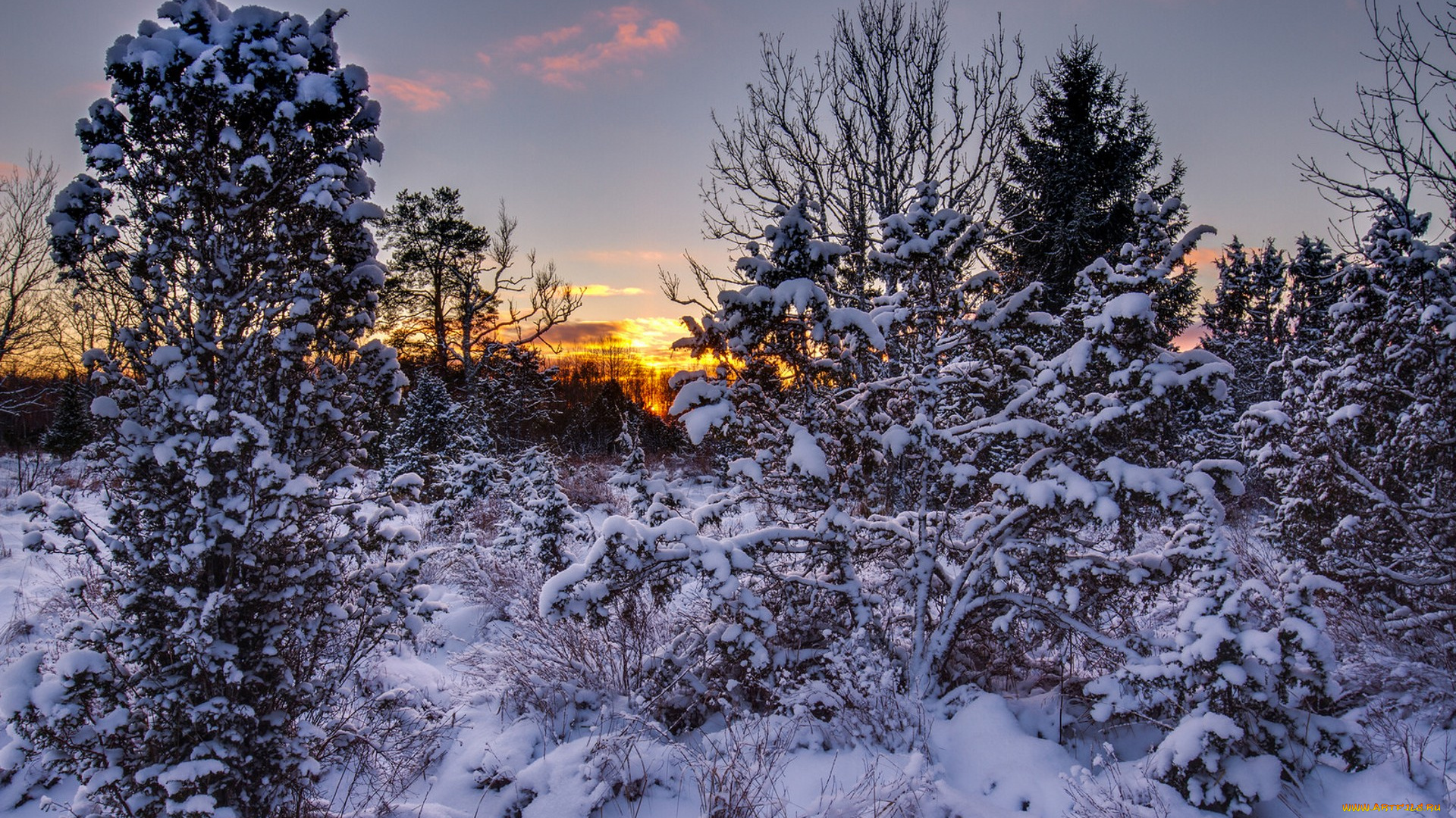 природа, зима, простор