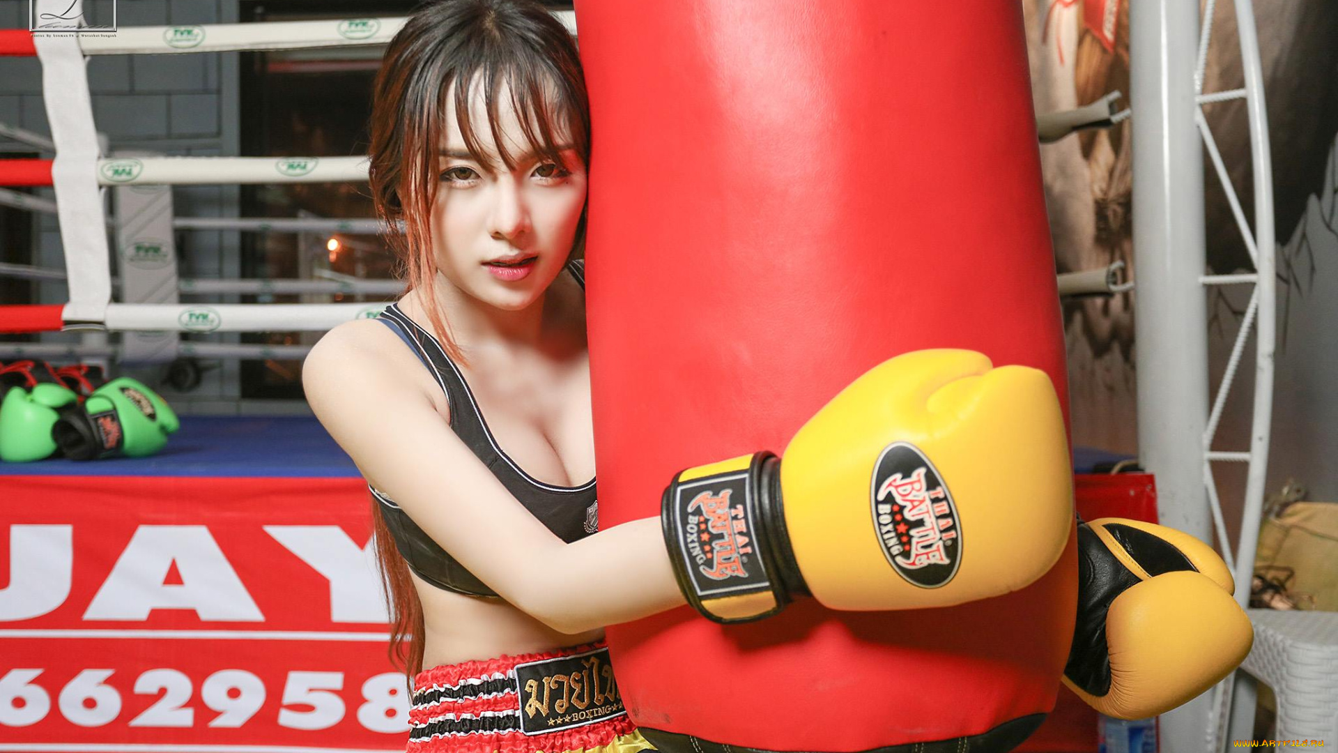 спорт, бокс, девушка, взгляд, фон