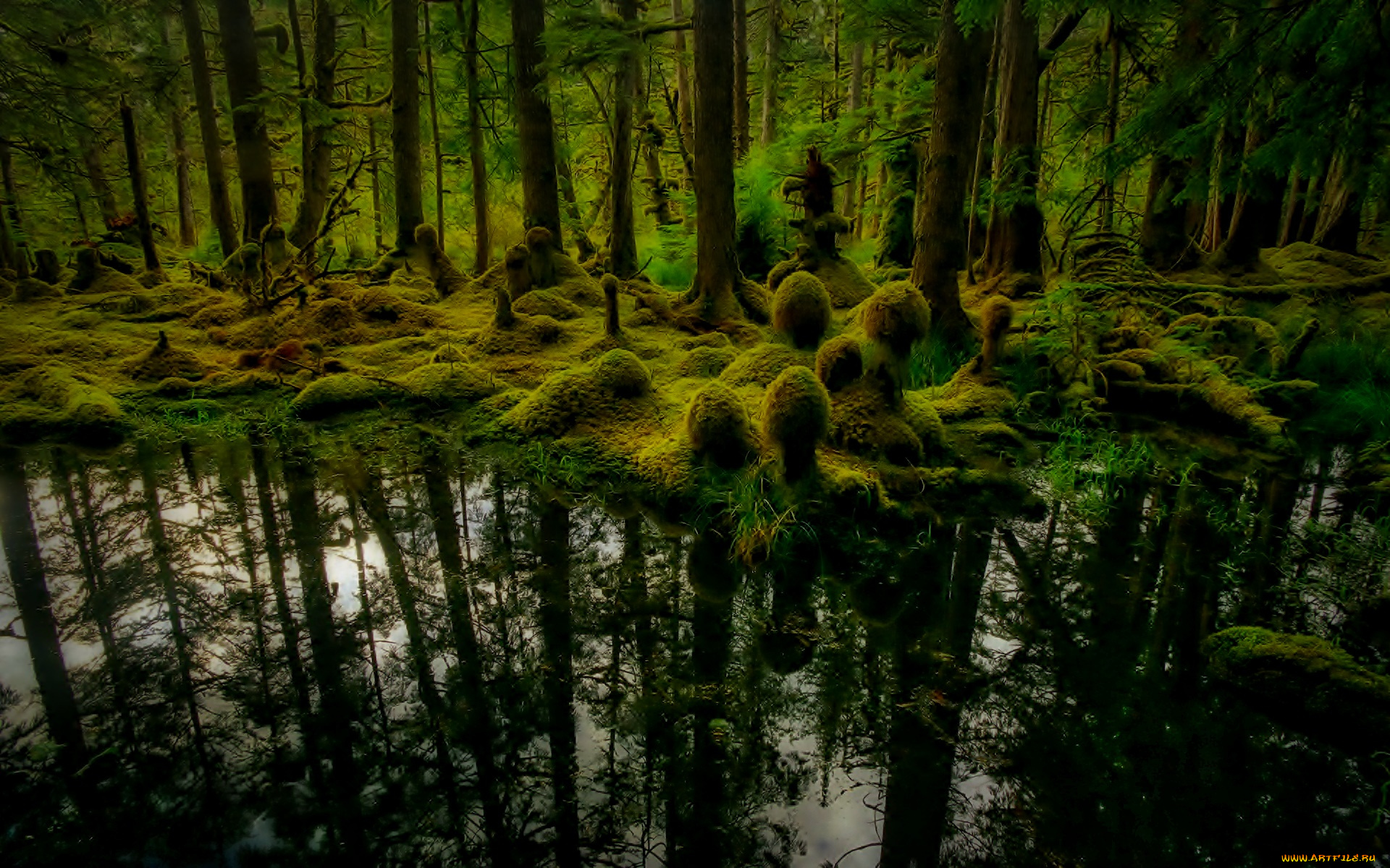 природа, лес