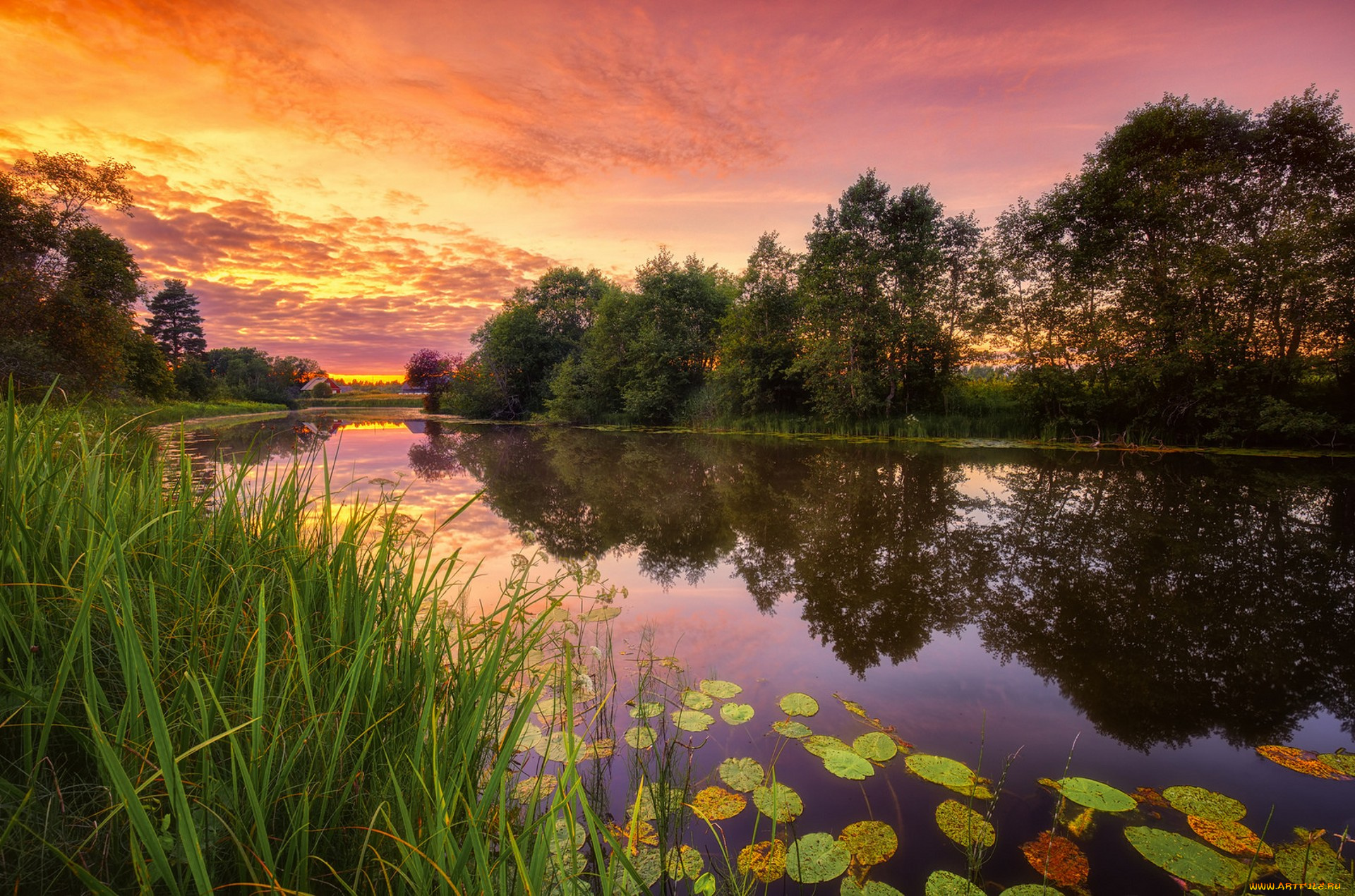 природа, реки, озера, простор