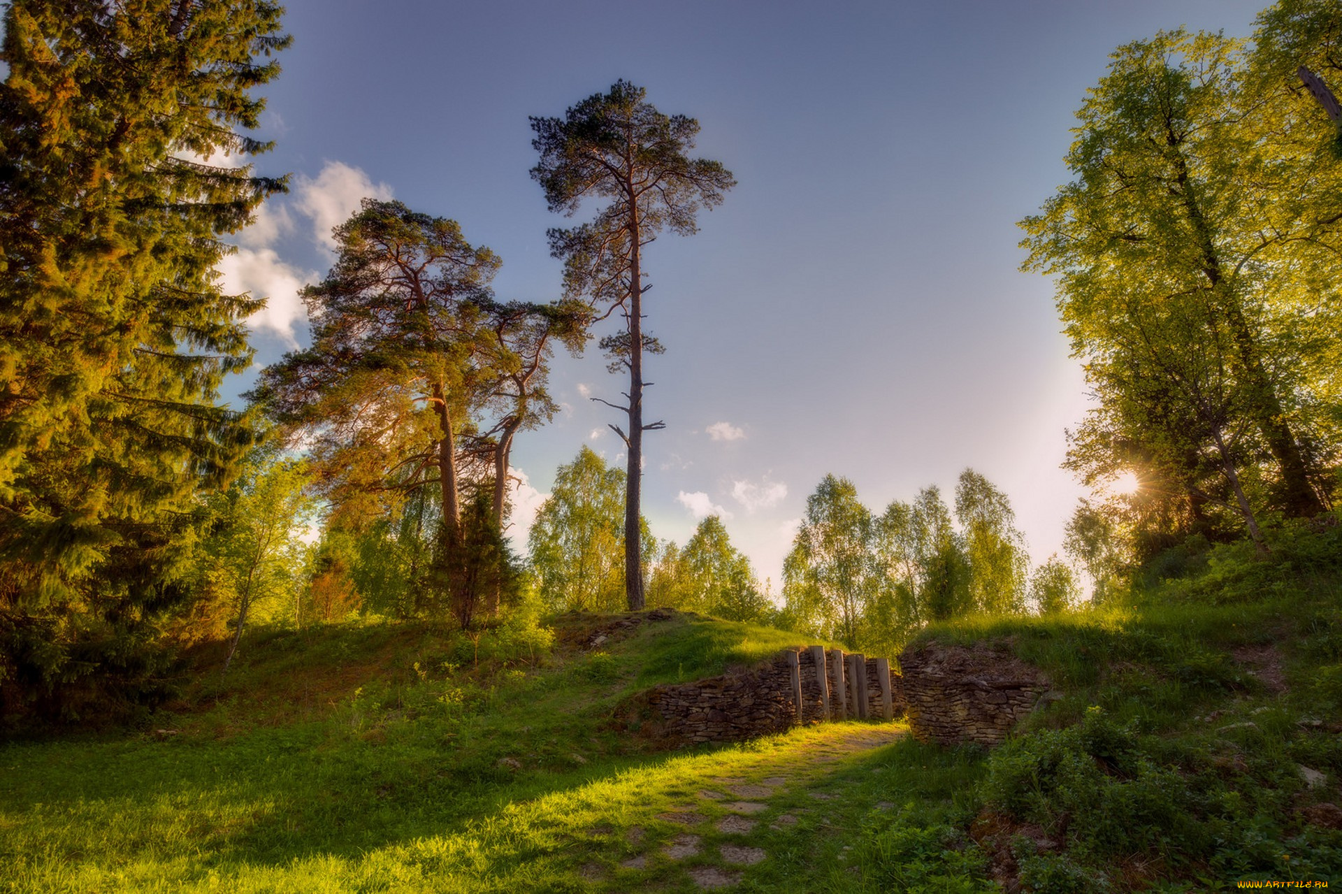 природа, пейзажи, простор